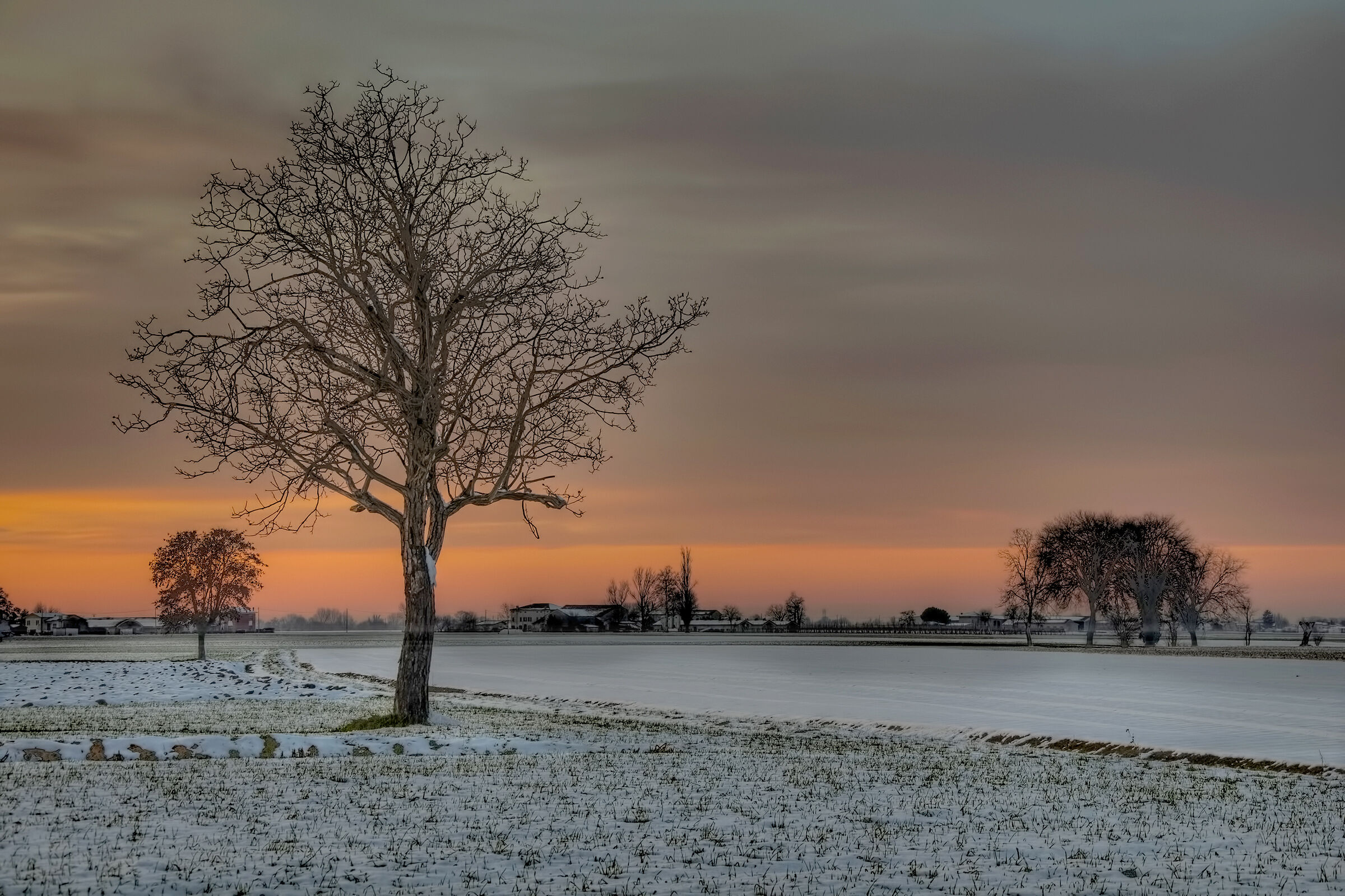 Quando in pianura nevicava