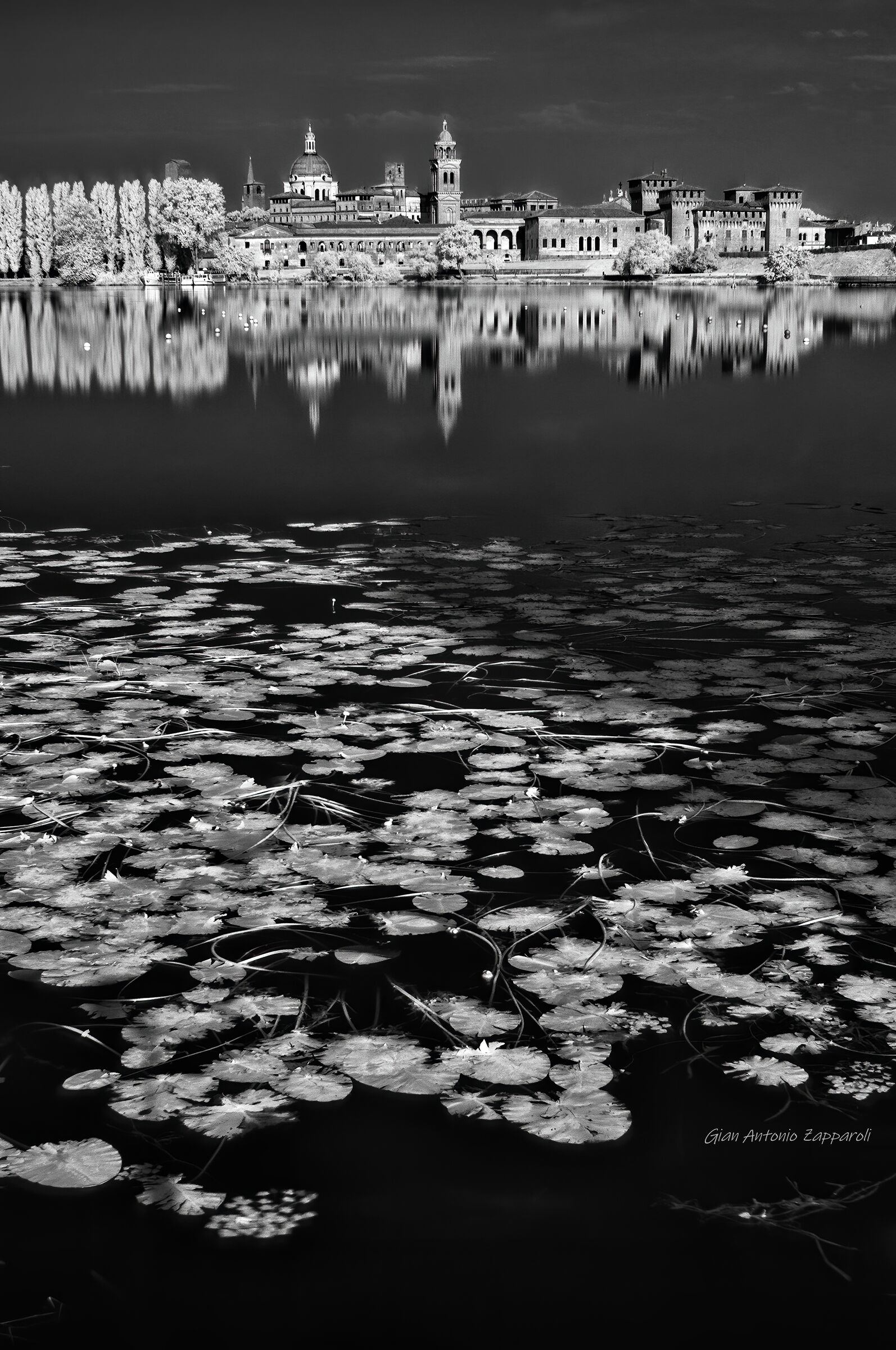 Mantua from the Lower Lake