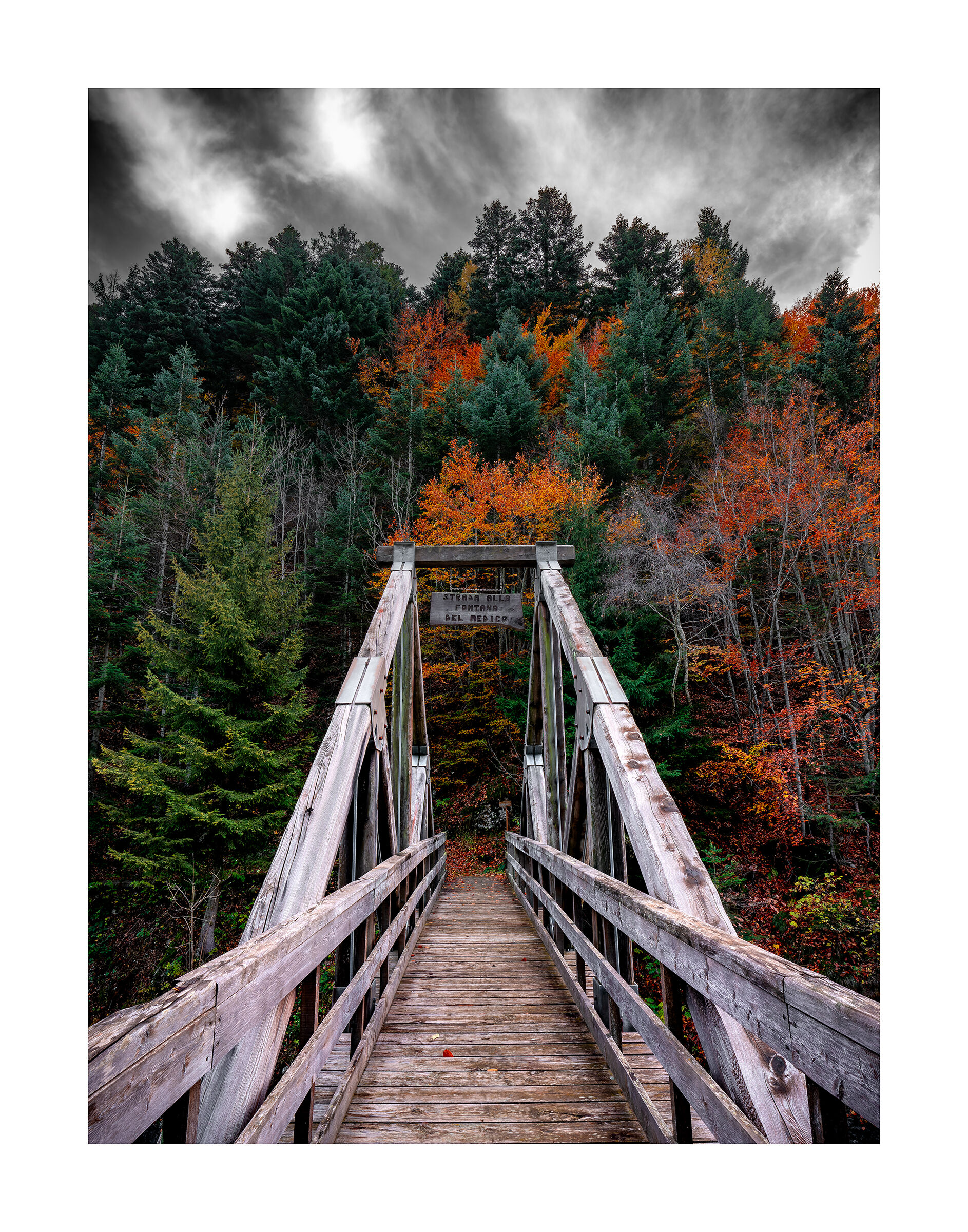 Il ponte nel bosco II