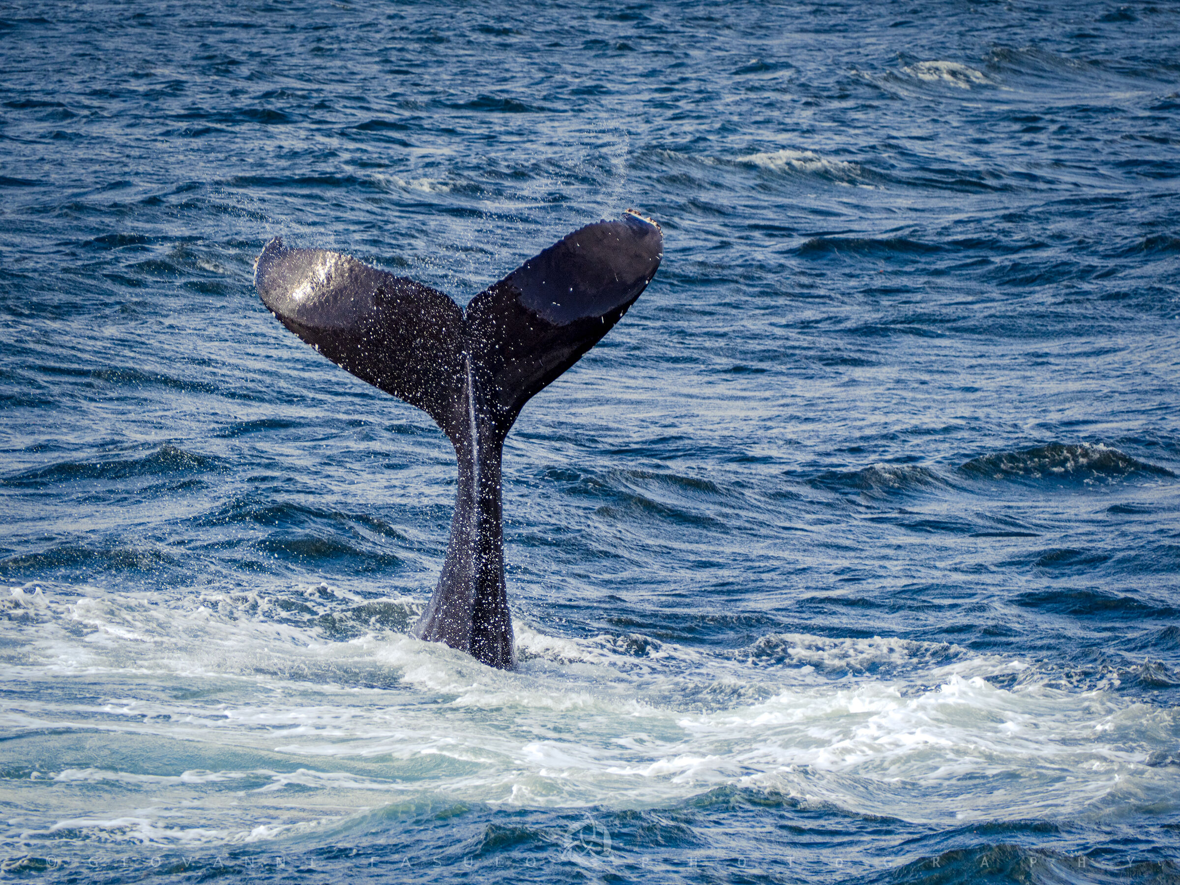 Un incontro inaspettato