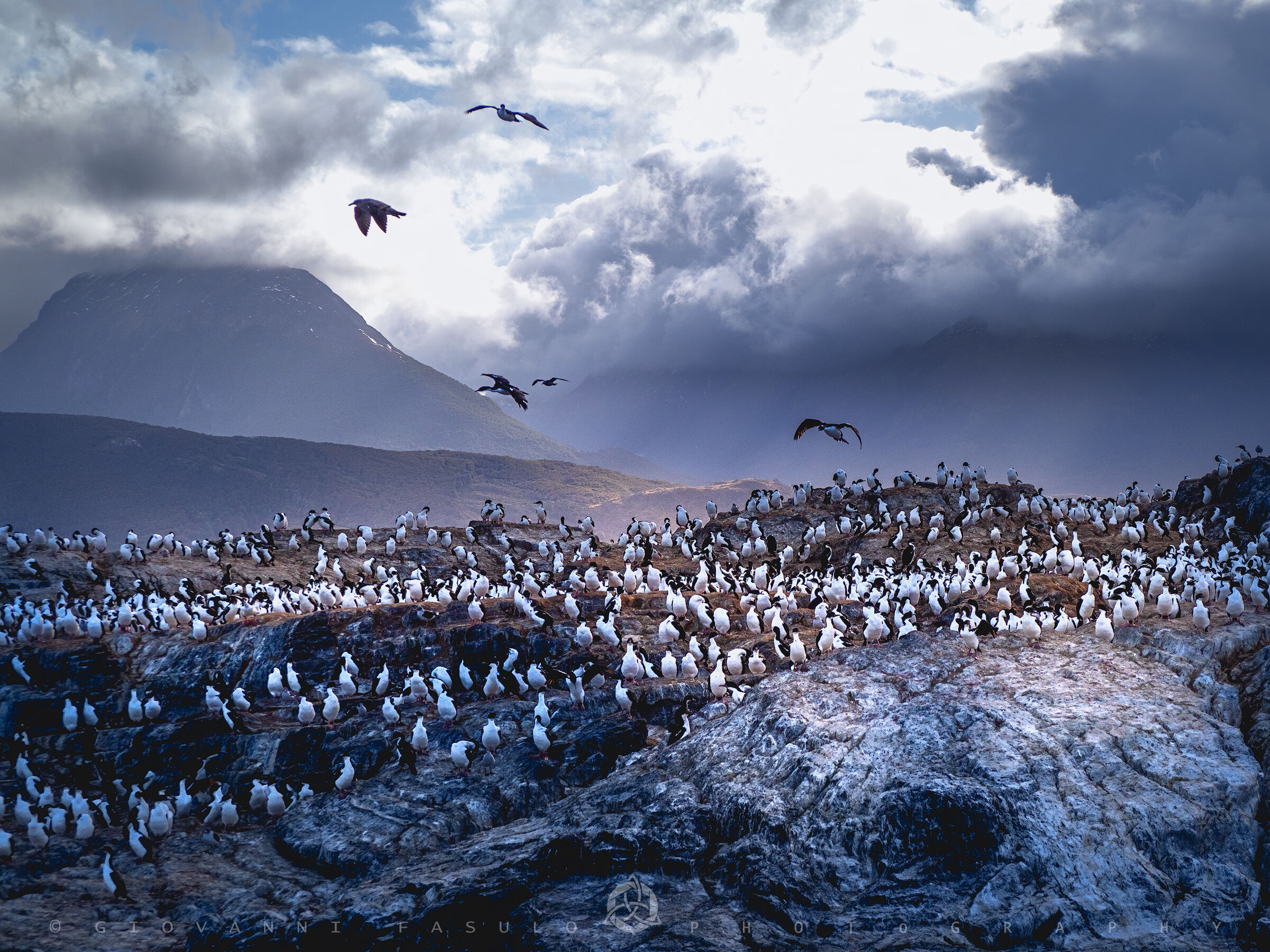 Isla de los Pájaros