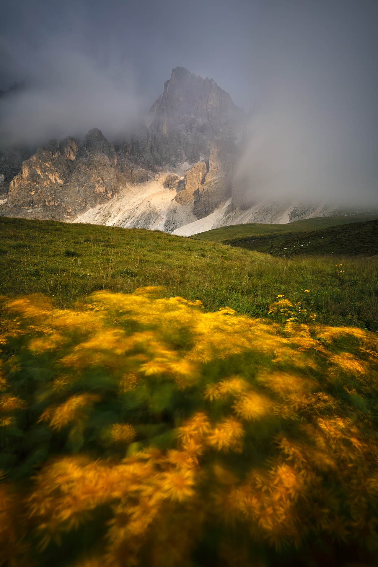 The Blades in the Wind