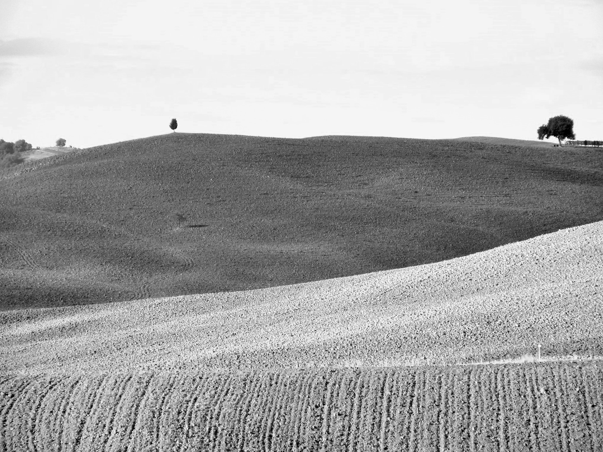dintorni di Pienza