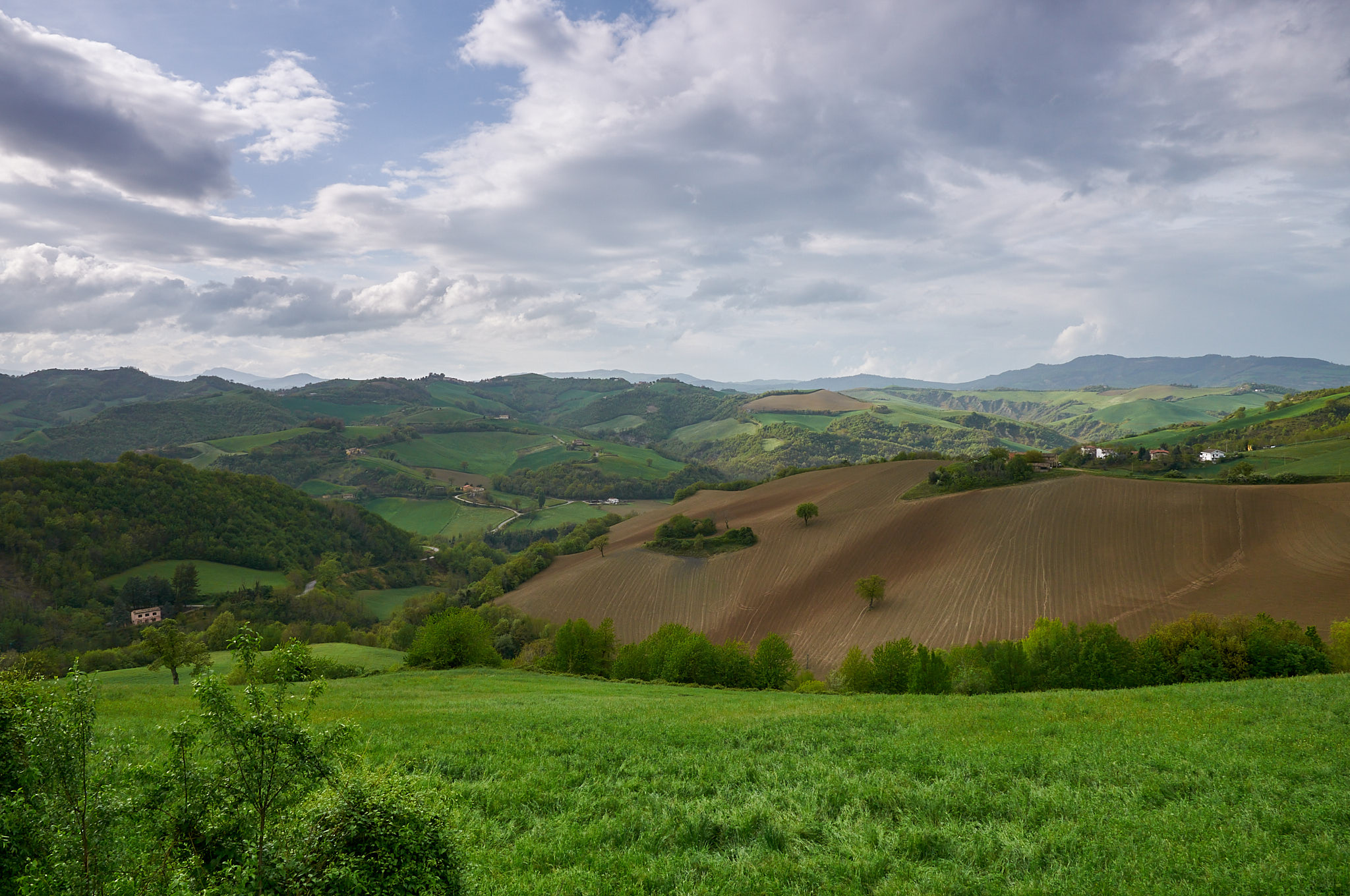 Pieve Di Cagna-Marche