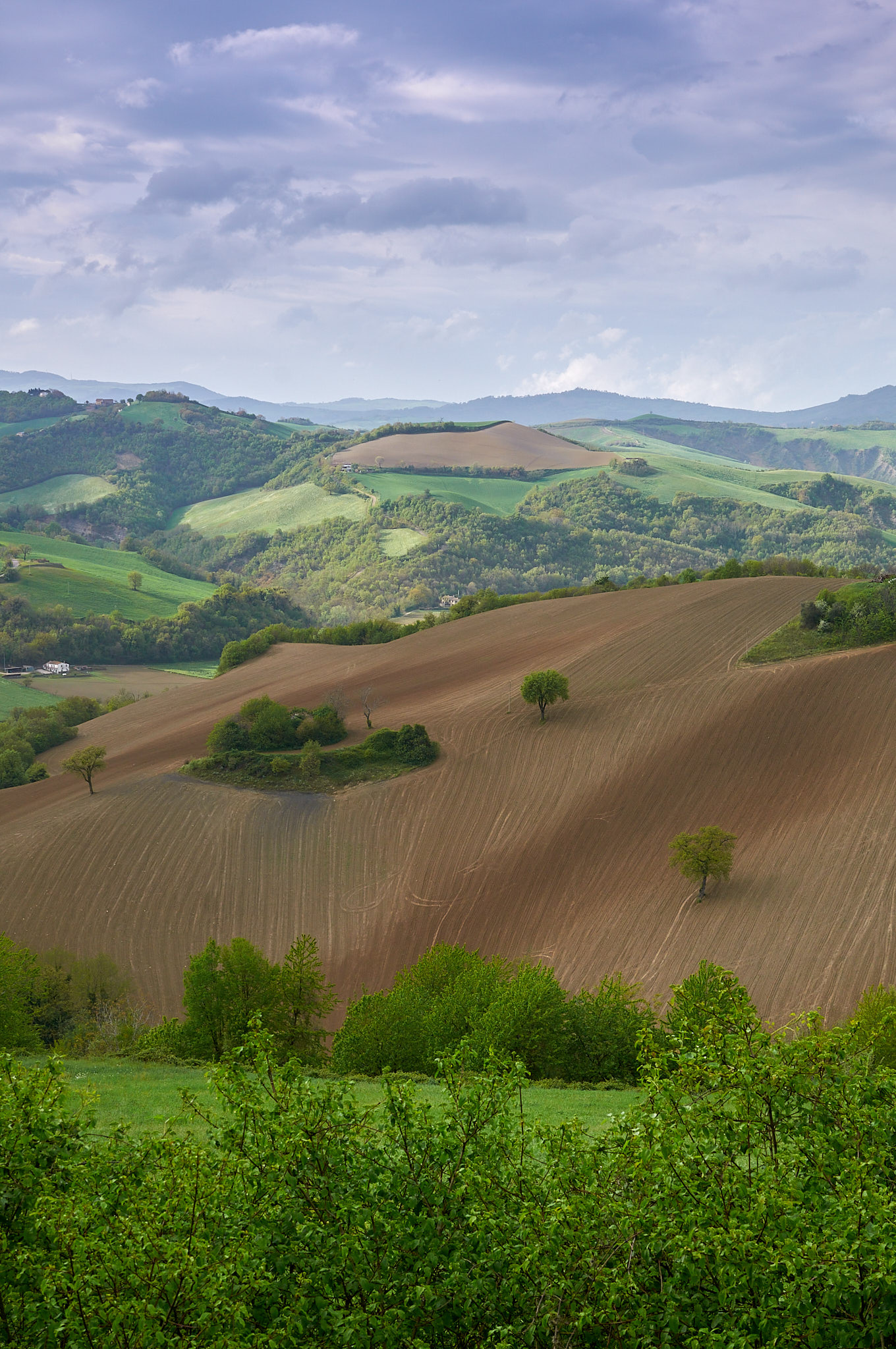 Pieve Di Cagna-Marche