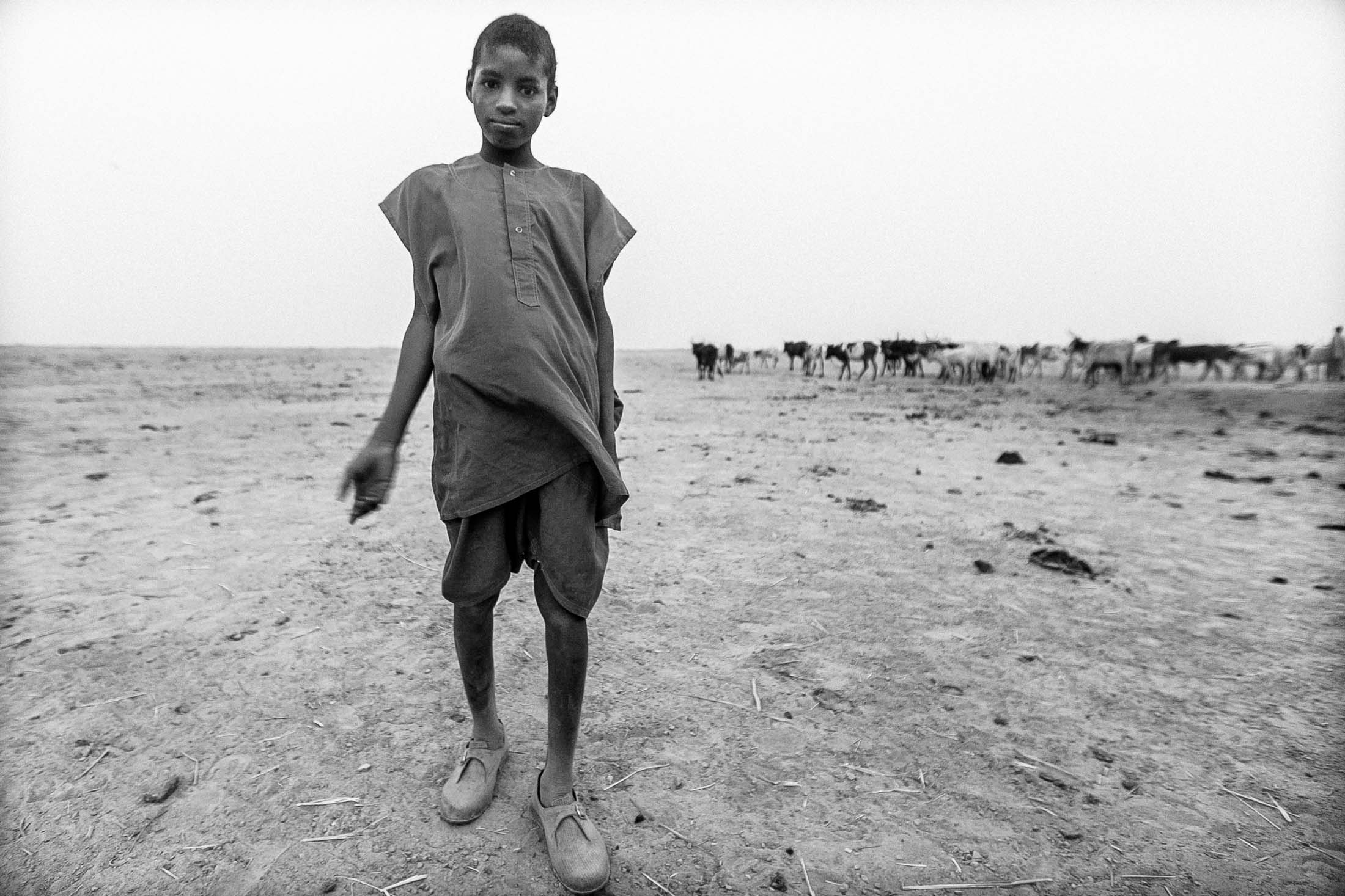 giovane pastore pehul, mali