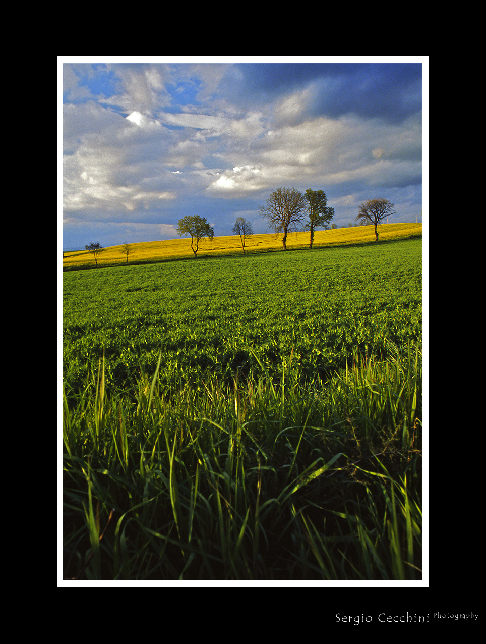 tonalità primaverili