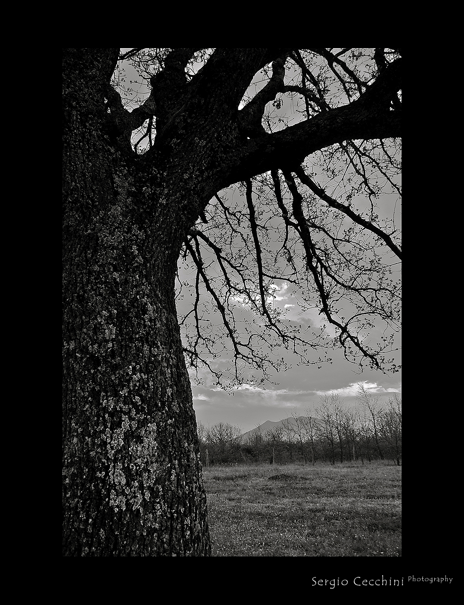 Il Monte Soratte da Mont'Ultimo