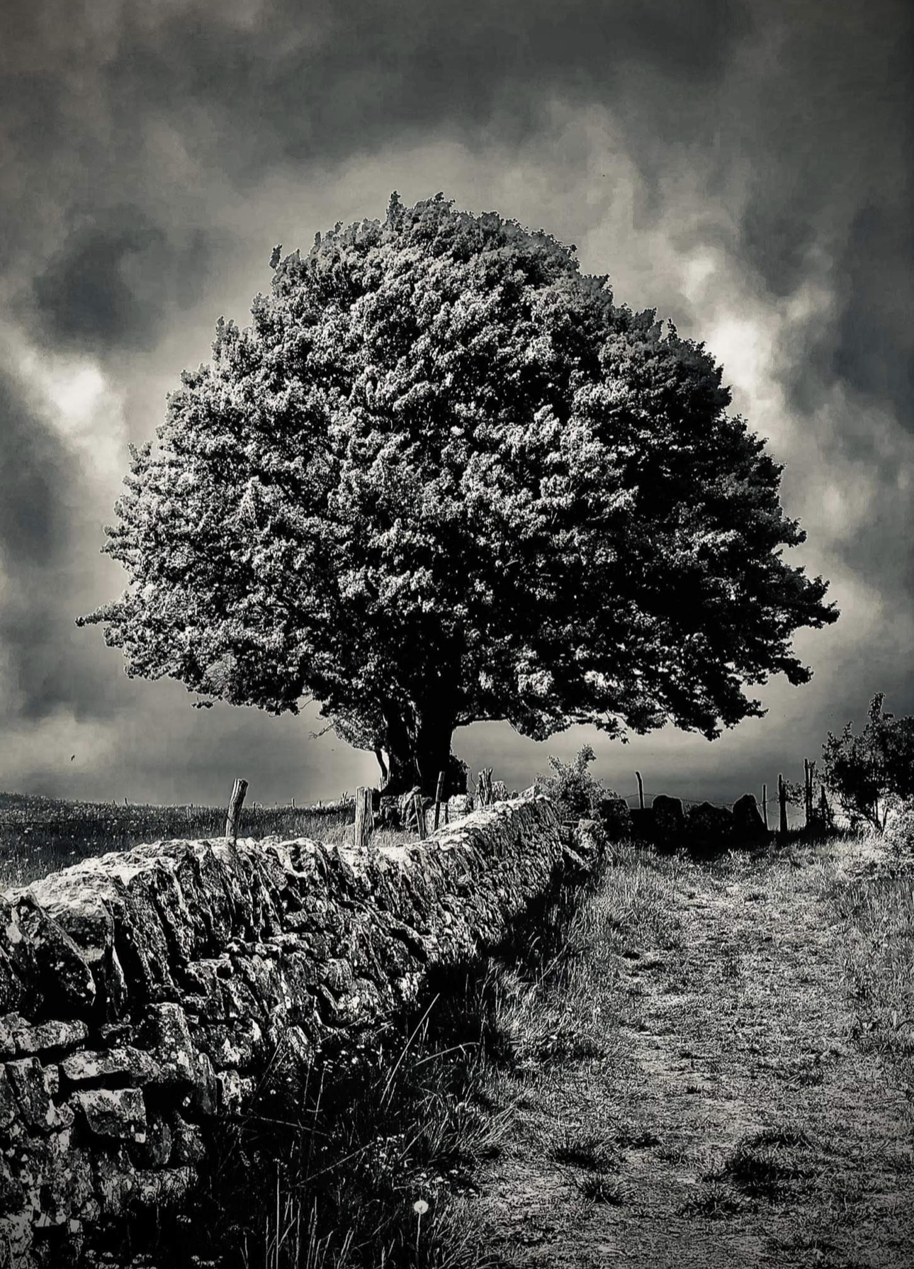 Temporale imminente