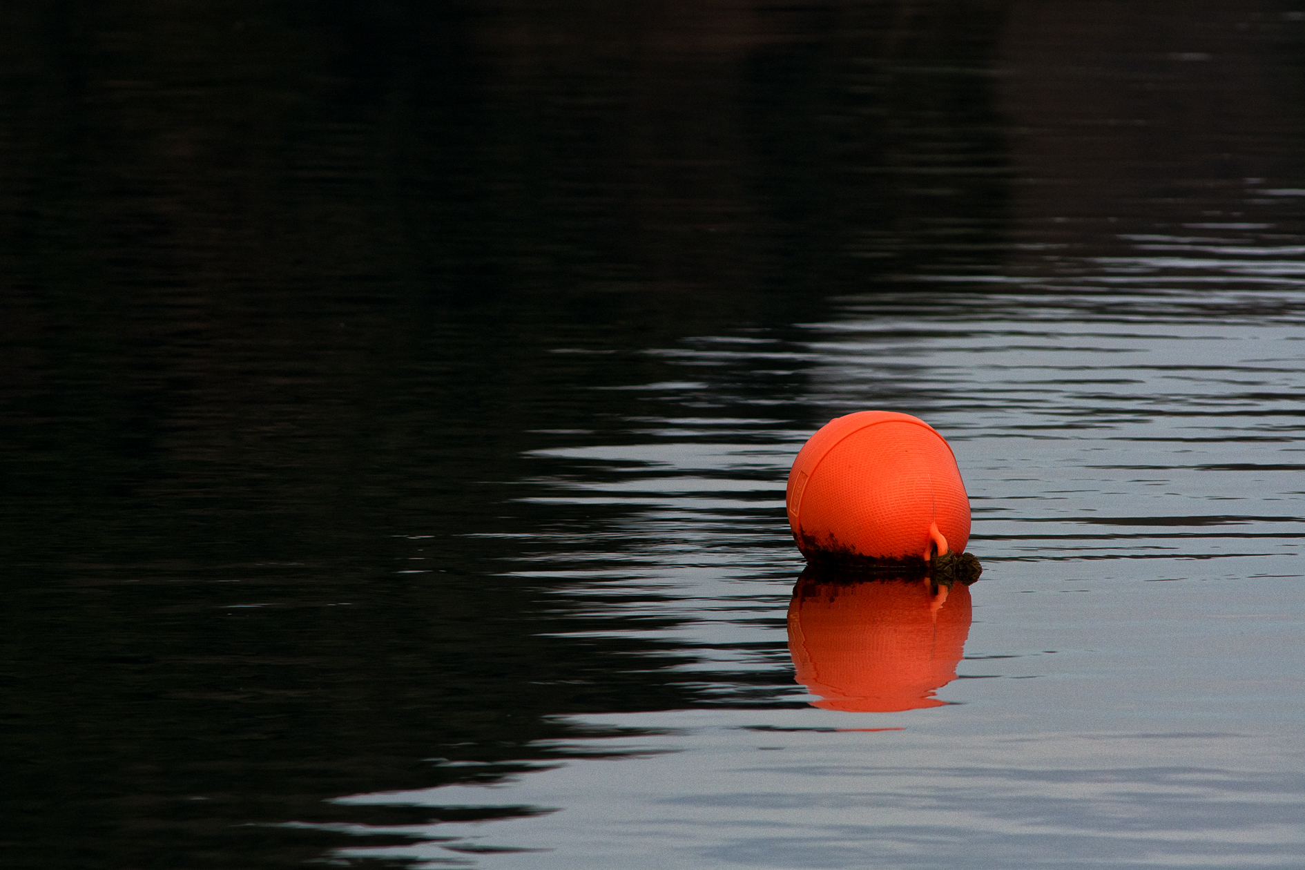 Untitled Photo