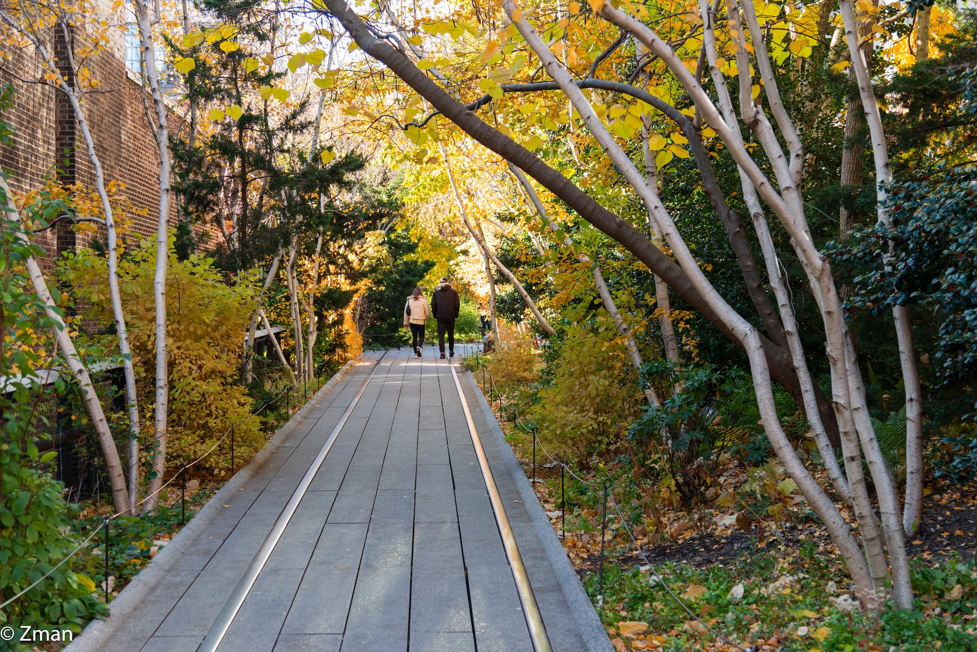 High Line New York