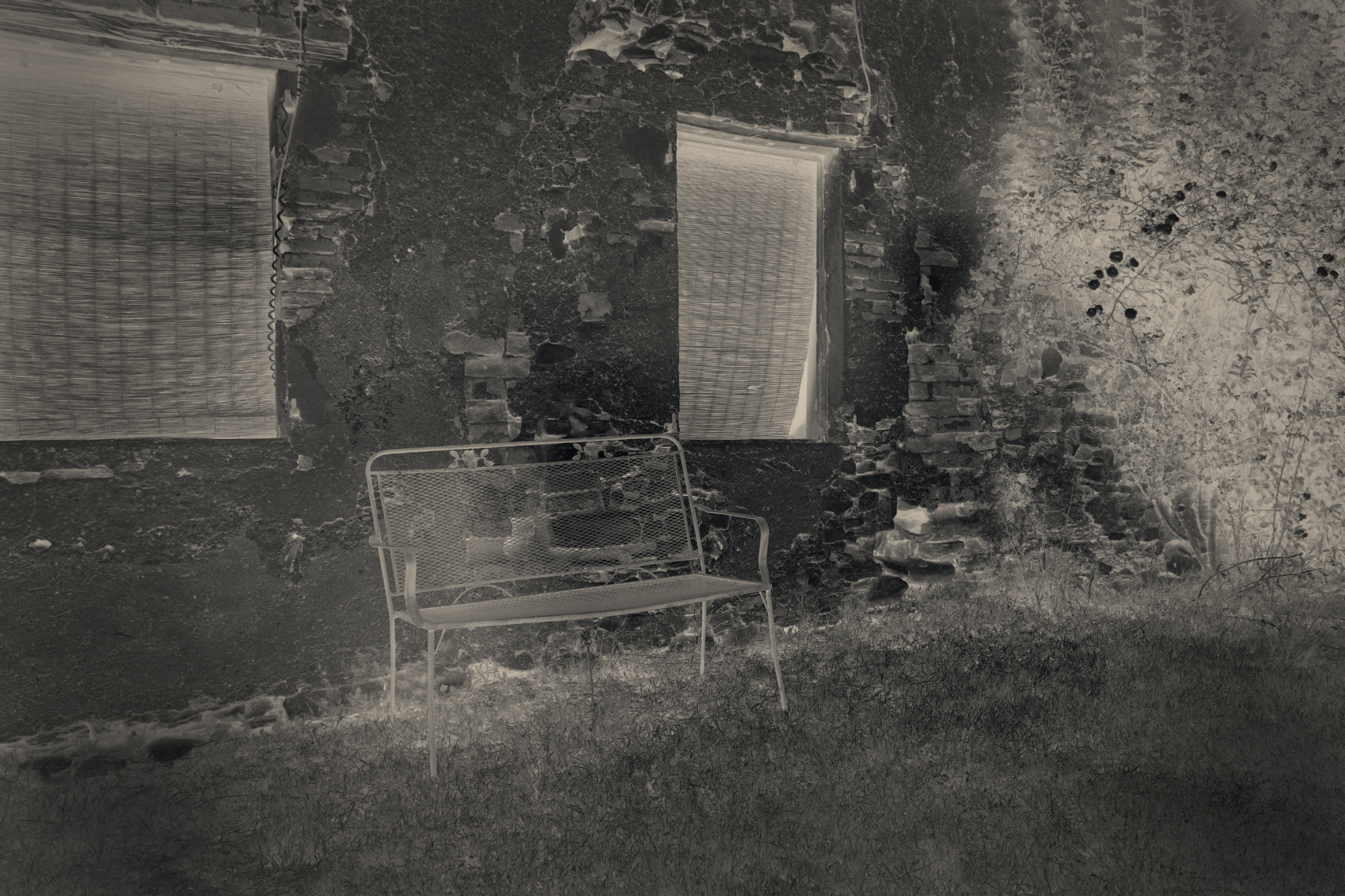 Busa