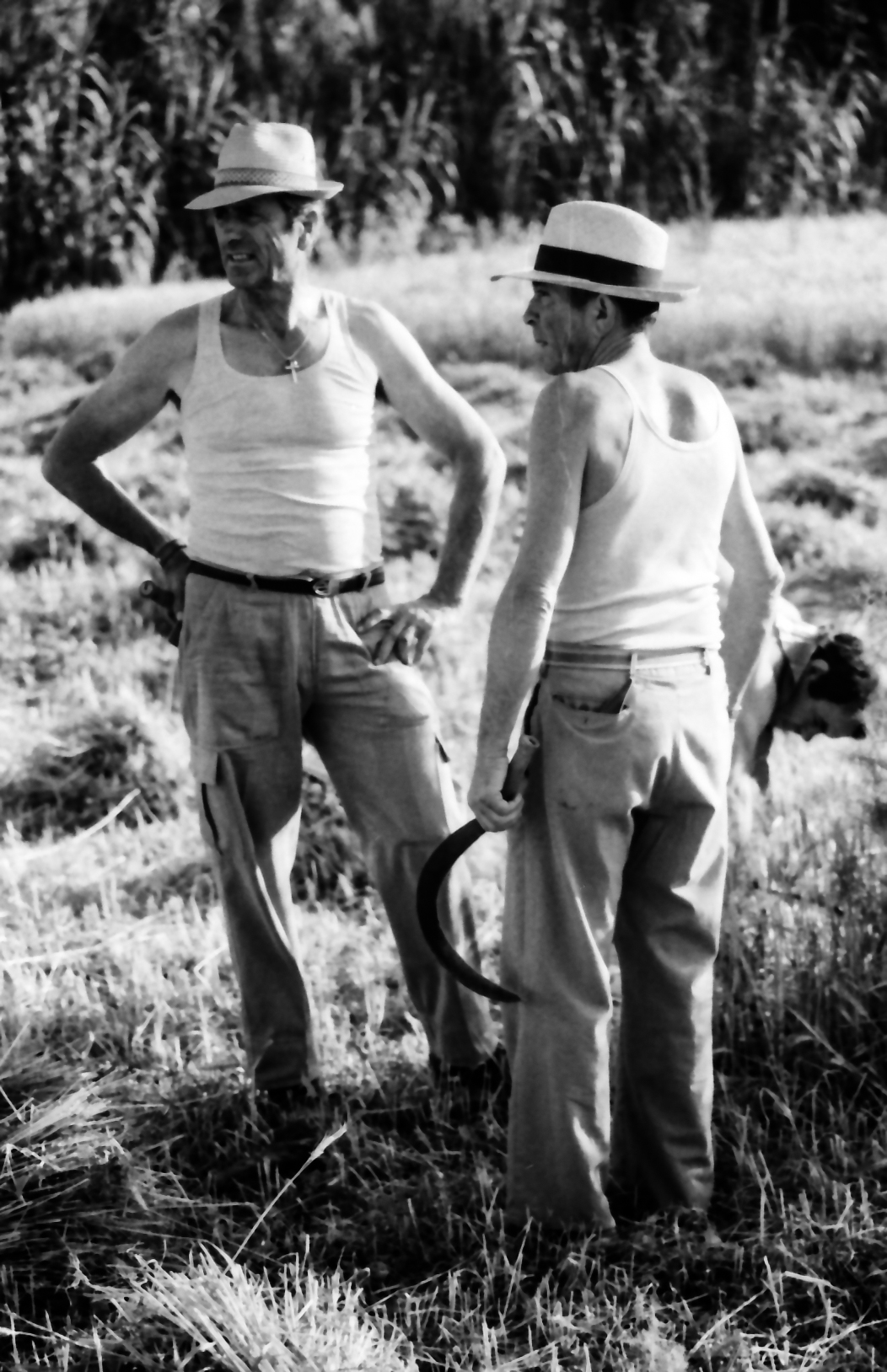 The importance of a scythe