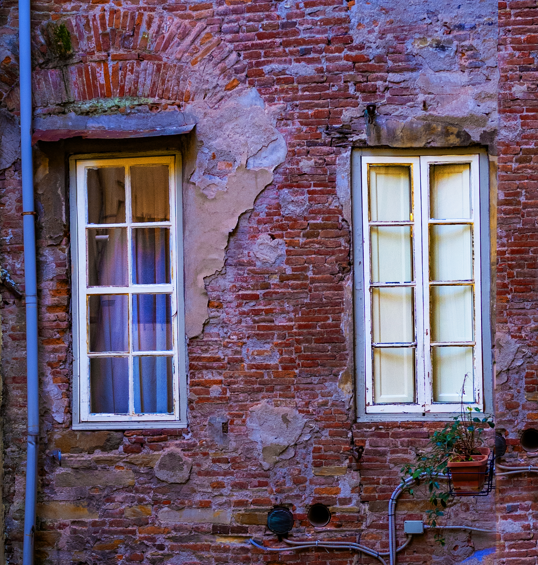Old windows