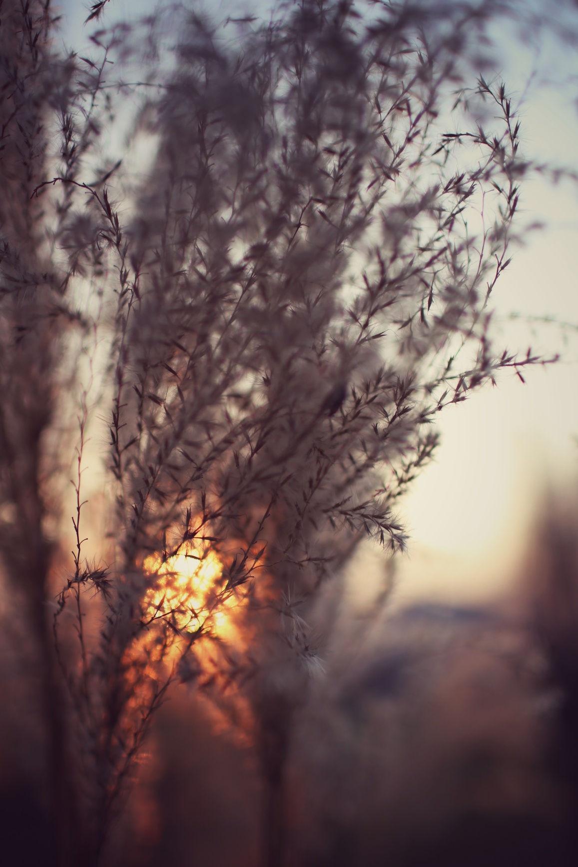 Transparencies