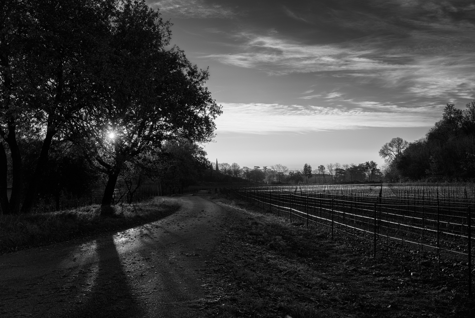 Roads of Franciacorta