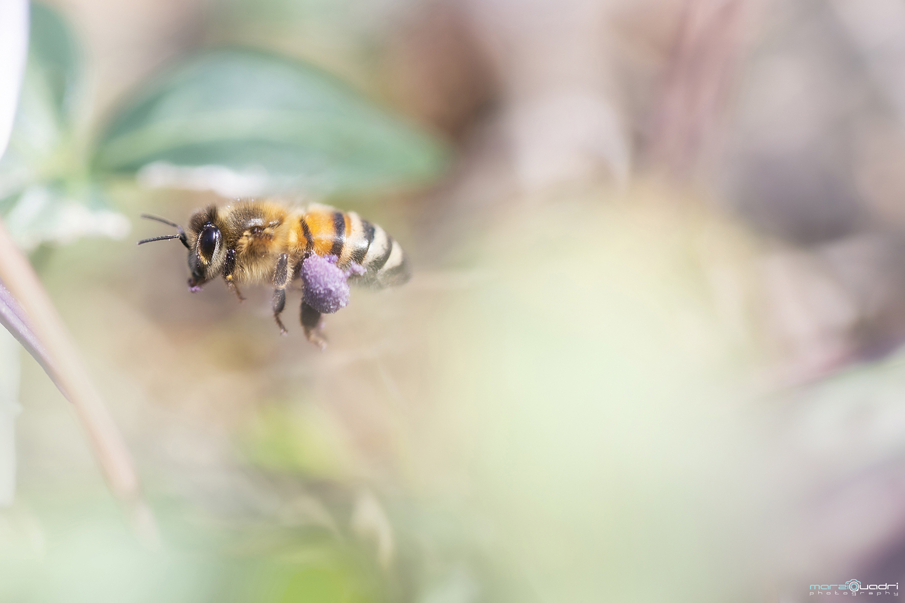 Exceptional transport 1