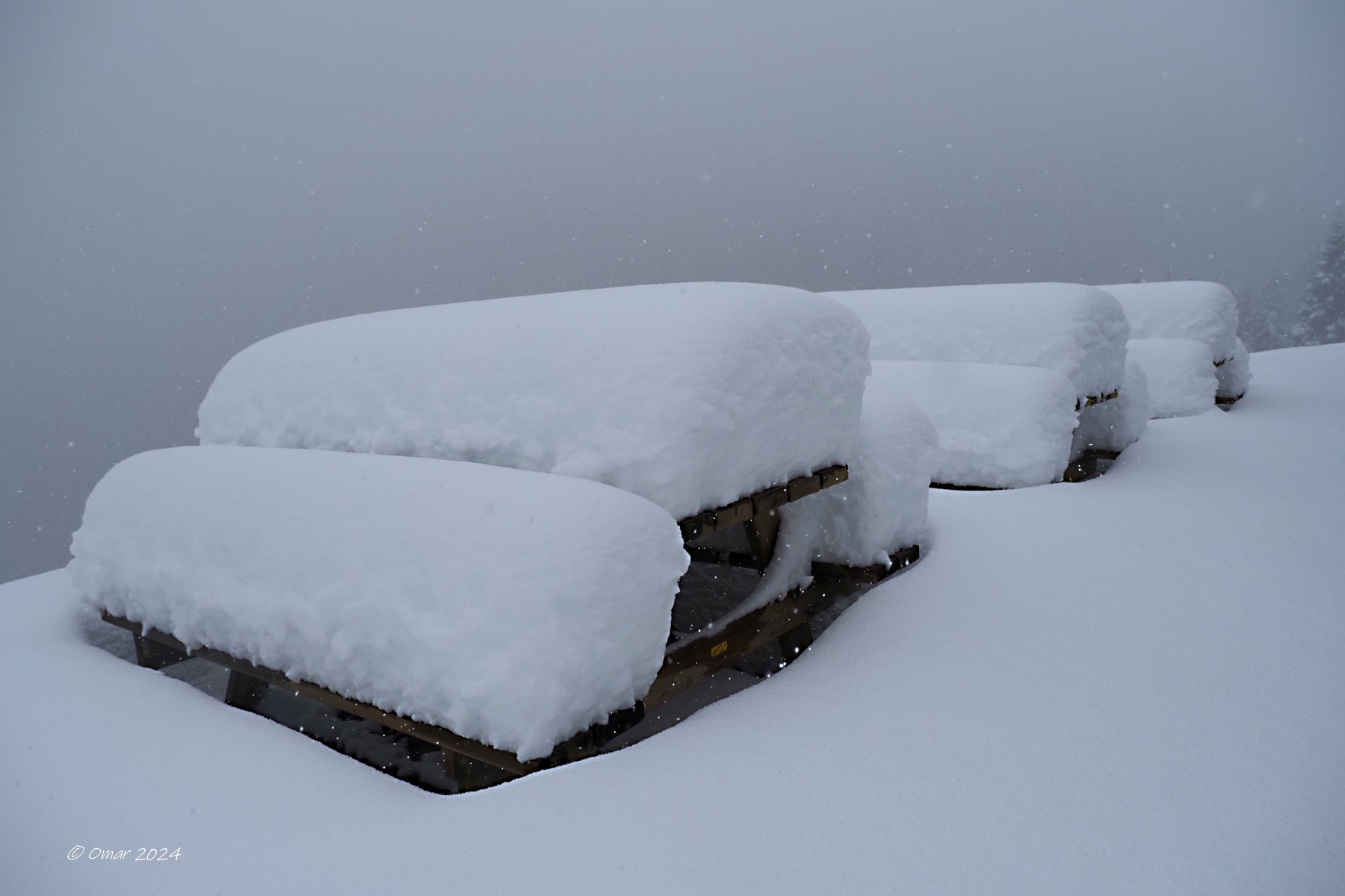 Siediti dove vuoi....