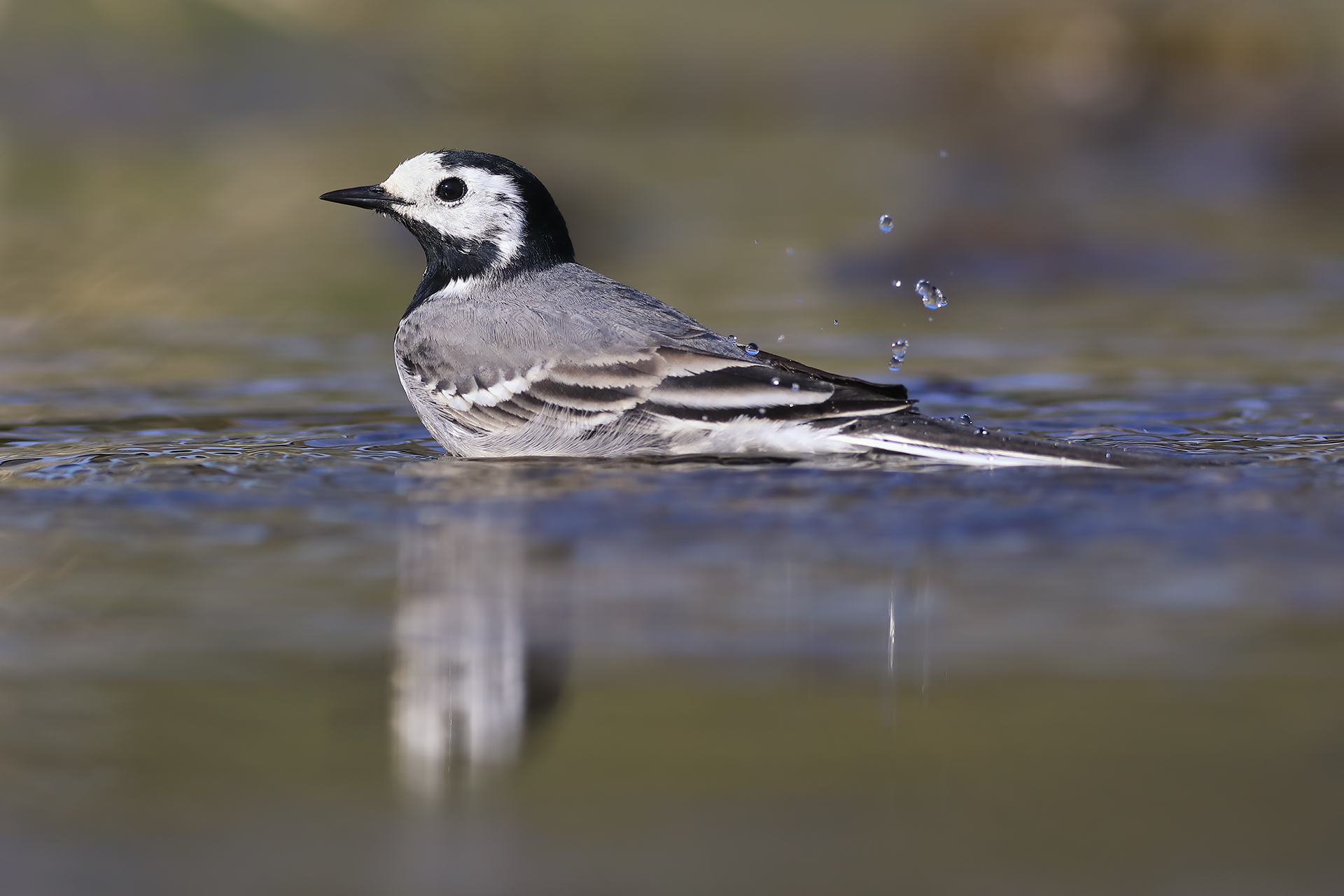 White dancer at the bathroom