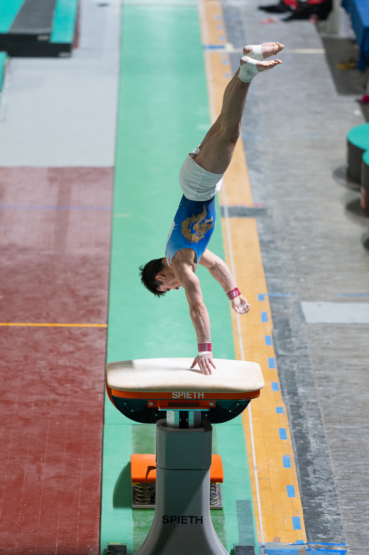 Serie A1 Ginnastica artistica Ancona 24 02 2024