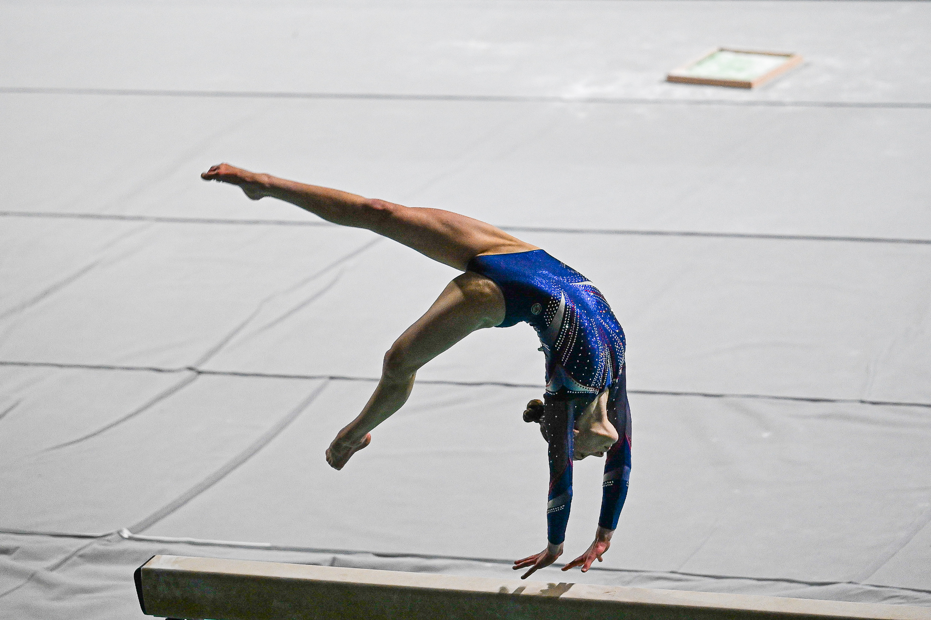 Serie A1 Ginnastica artistica Ancona 24 02 2024