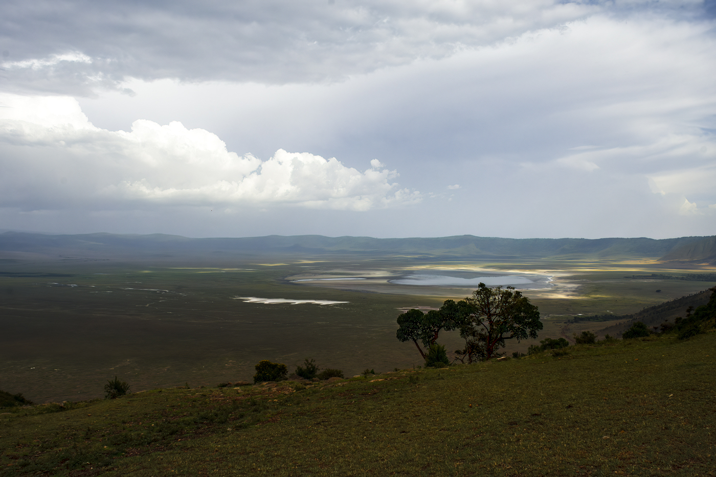 Ngoro Ngoro rain on the savannah