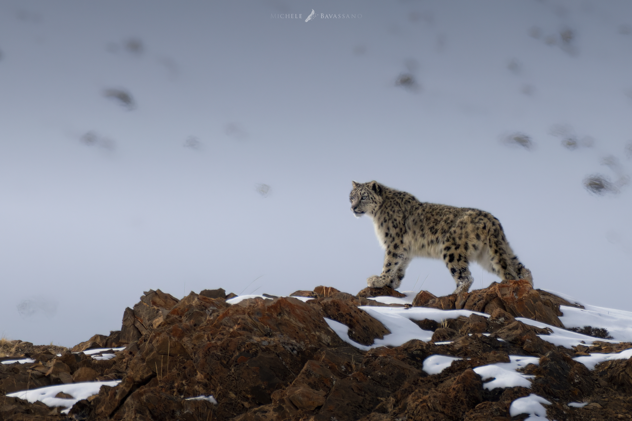 The Ghost of the Mountains