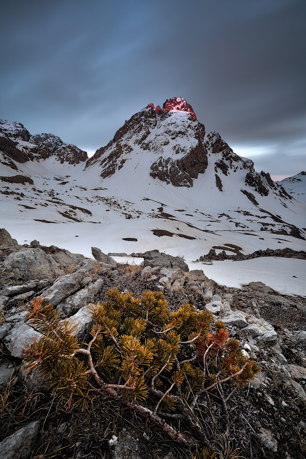 Vallonnet alla fine dell'Inverno