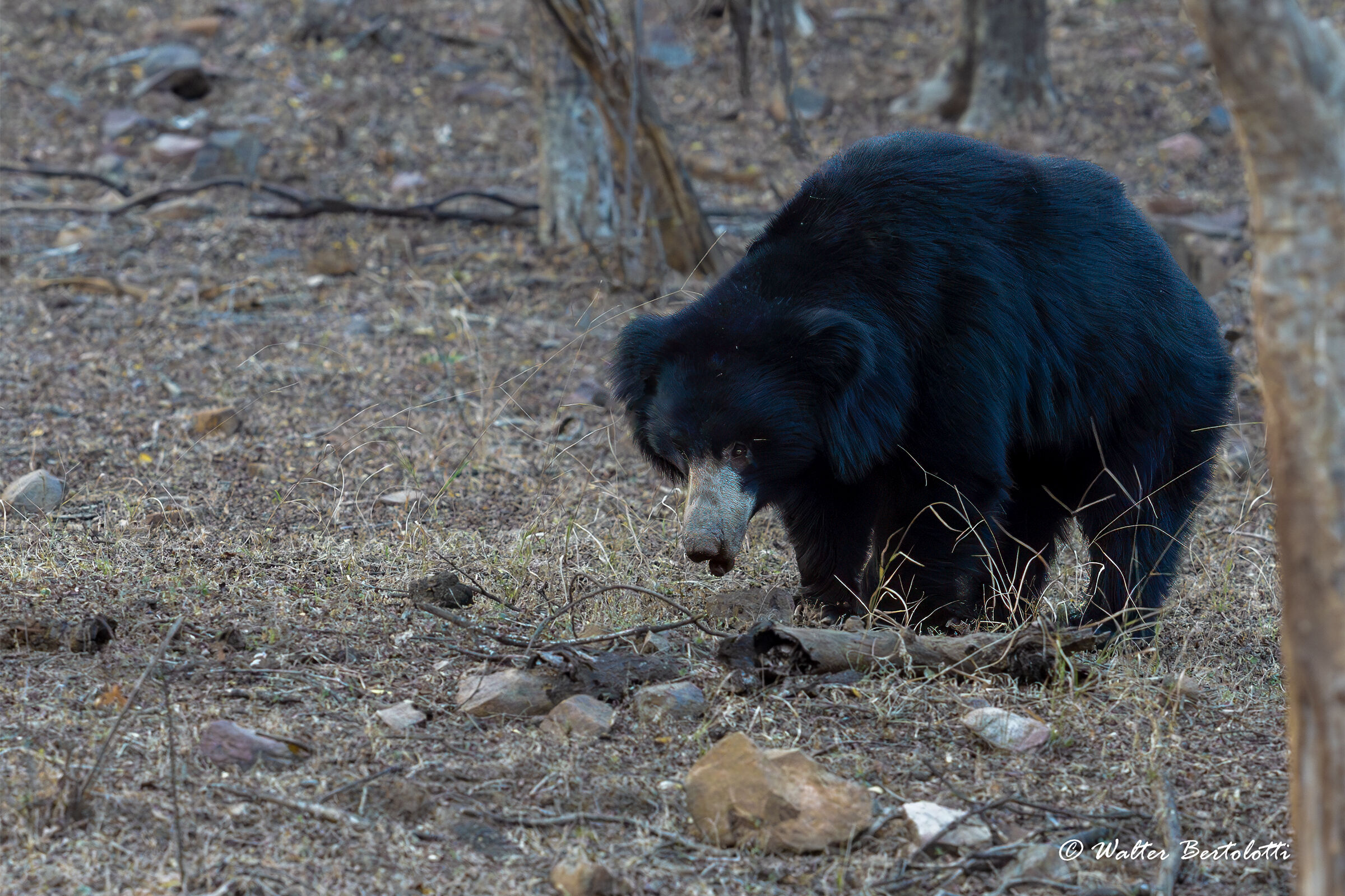 un incontro inaspettato