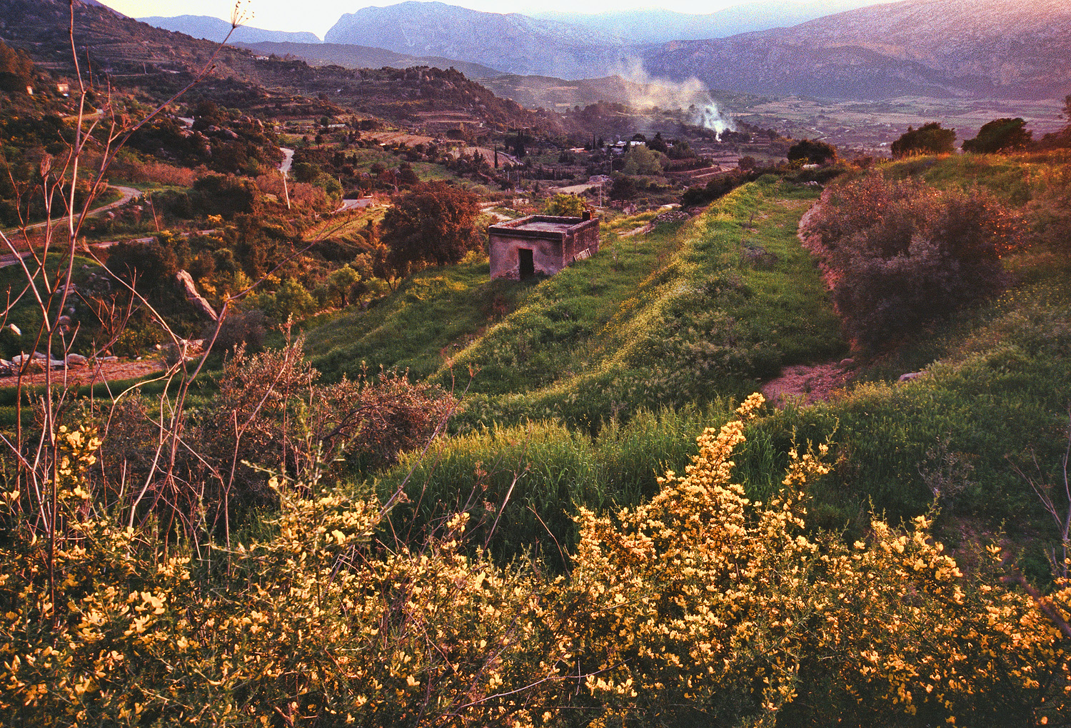 Country dorgalese, Sardinia
