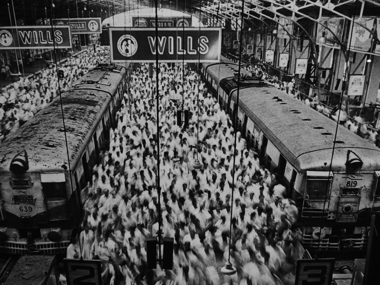 Salgado à la Galerie Polka -Paris 2024