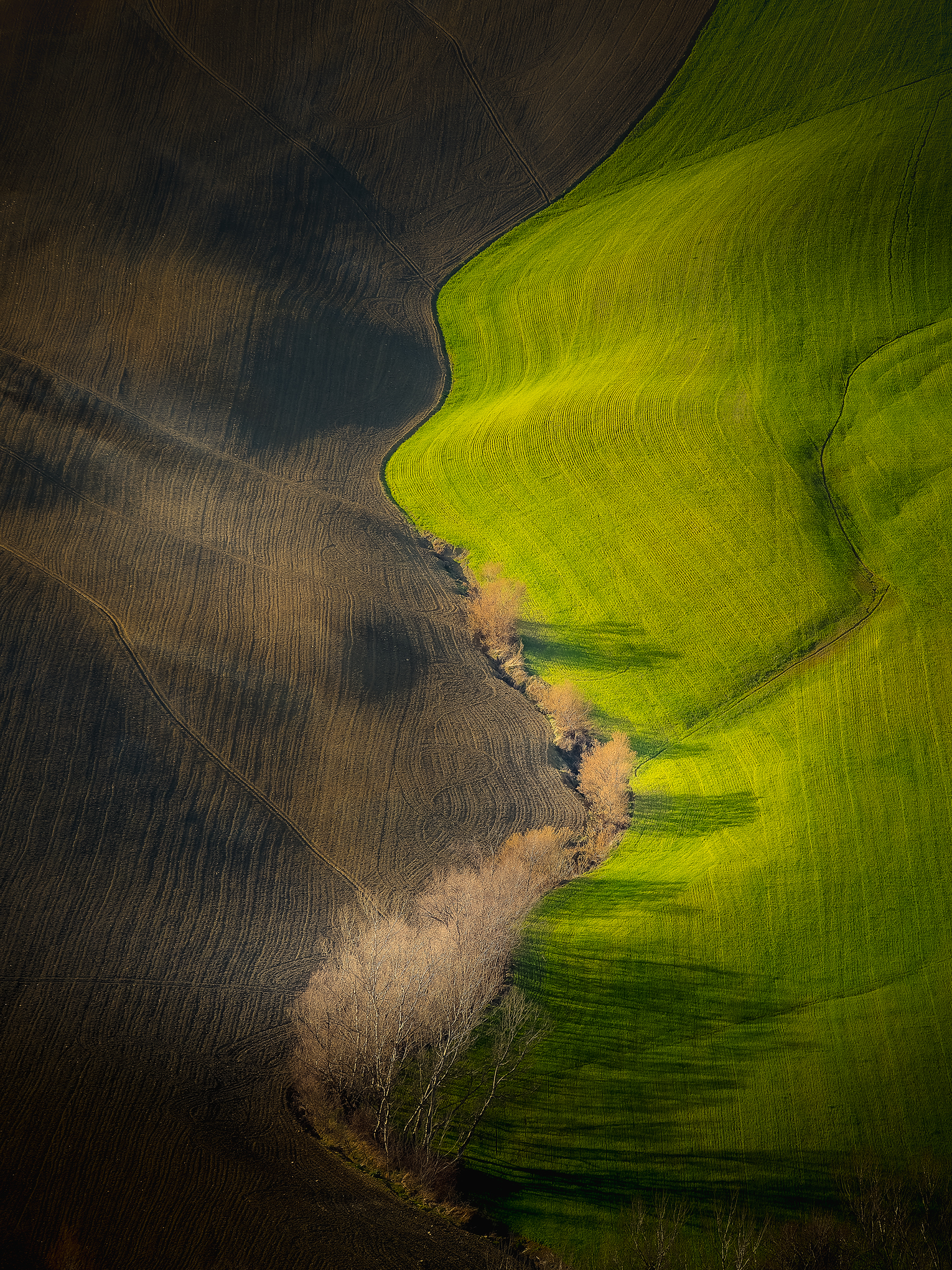 Campagna Marchigiana