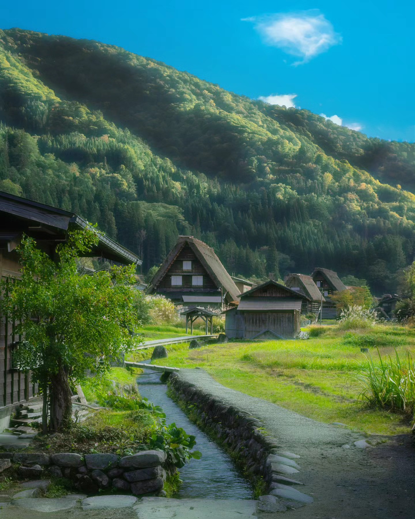 Shirakawa-go