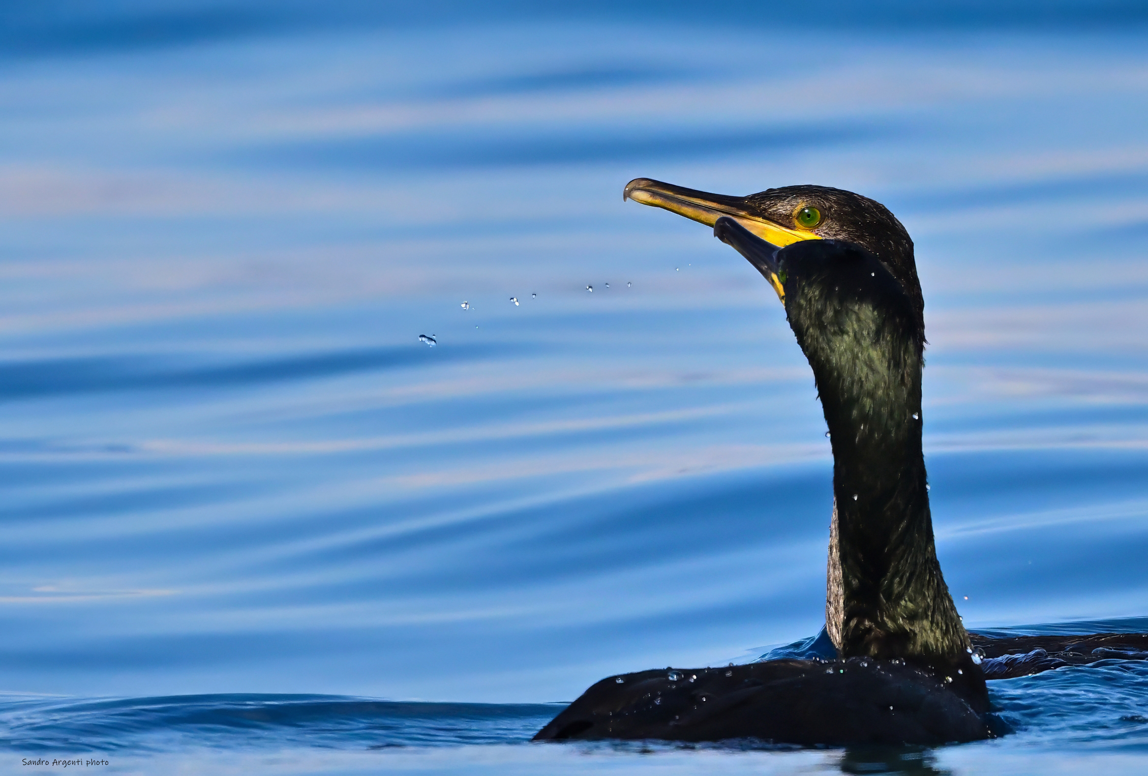 Sono uno o due che giocano con l'acqua?