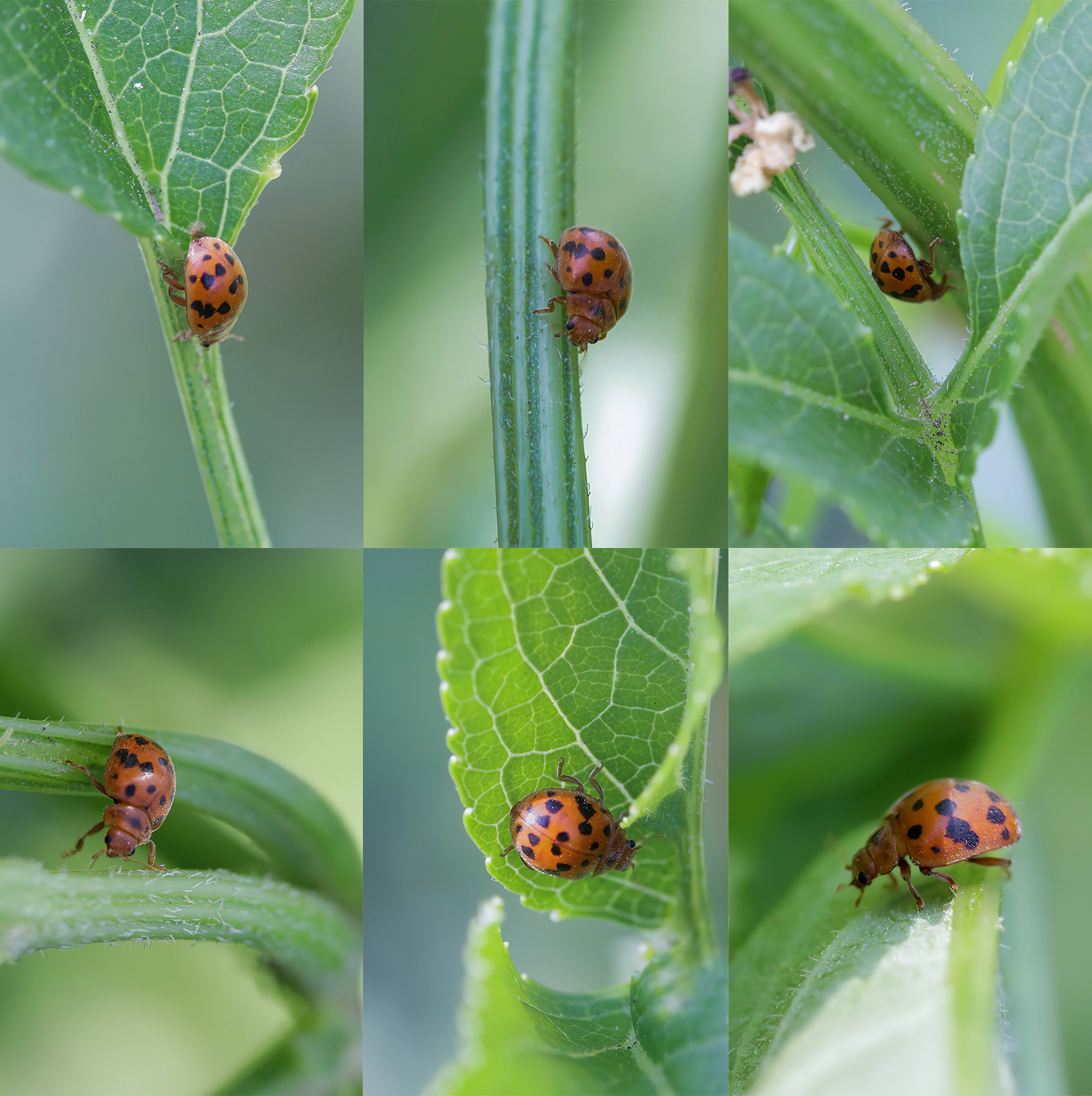 When you have to get back on the highway...