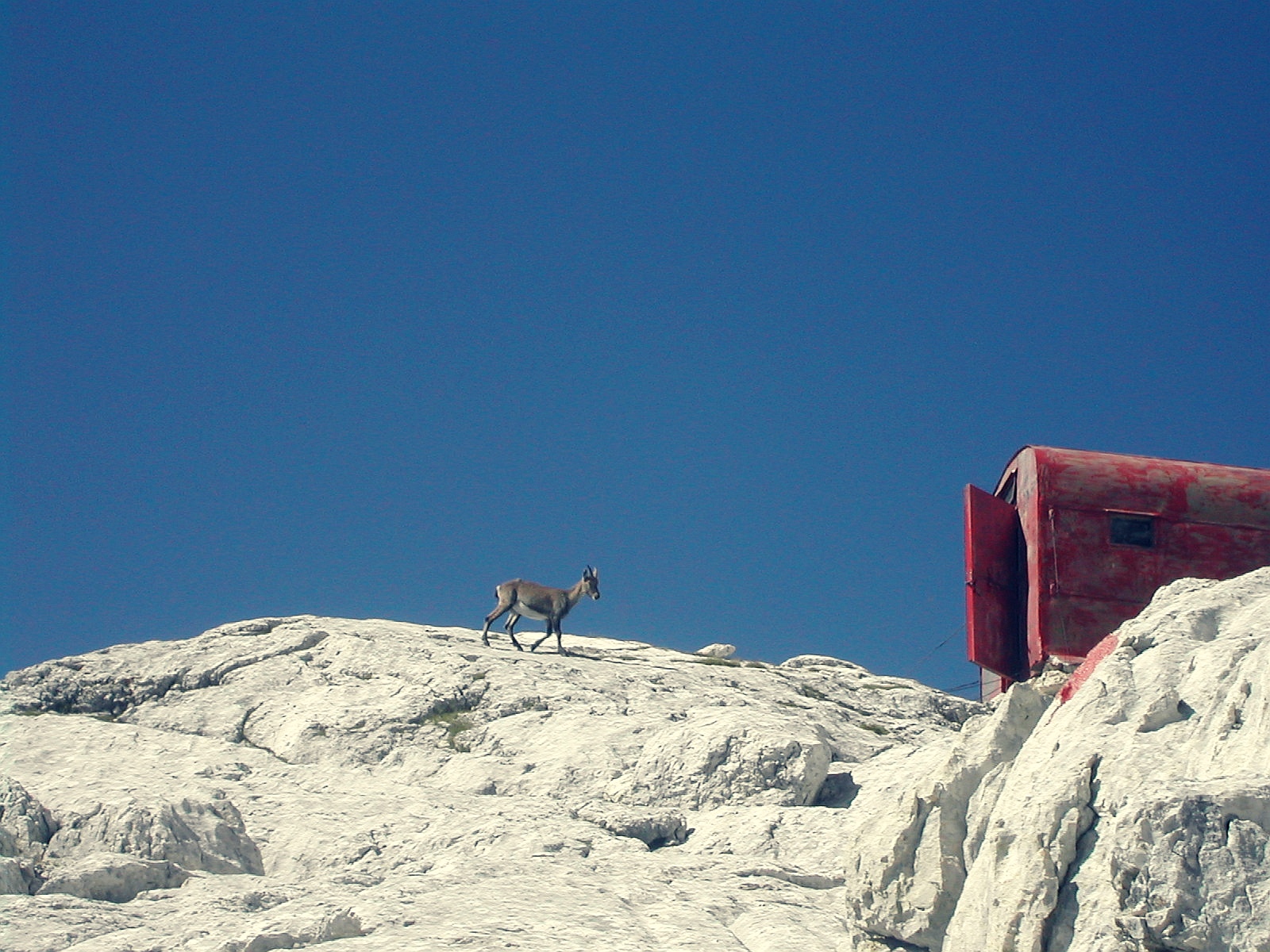 "escursionista" al bivacco