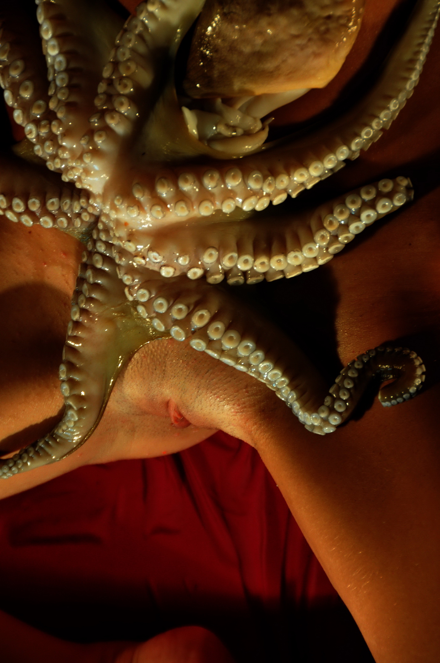 Due tipi di ventose !