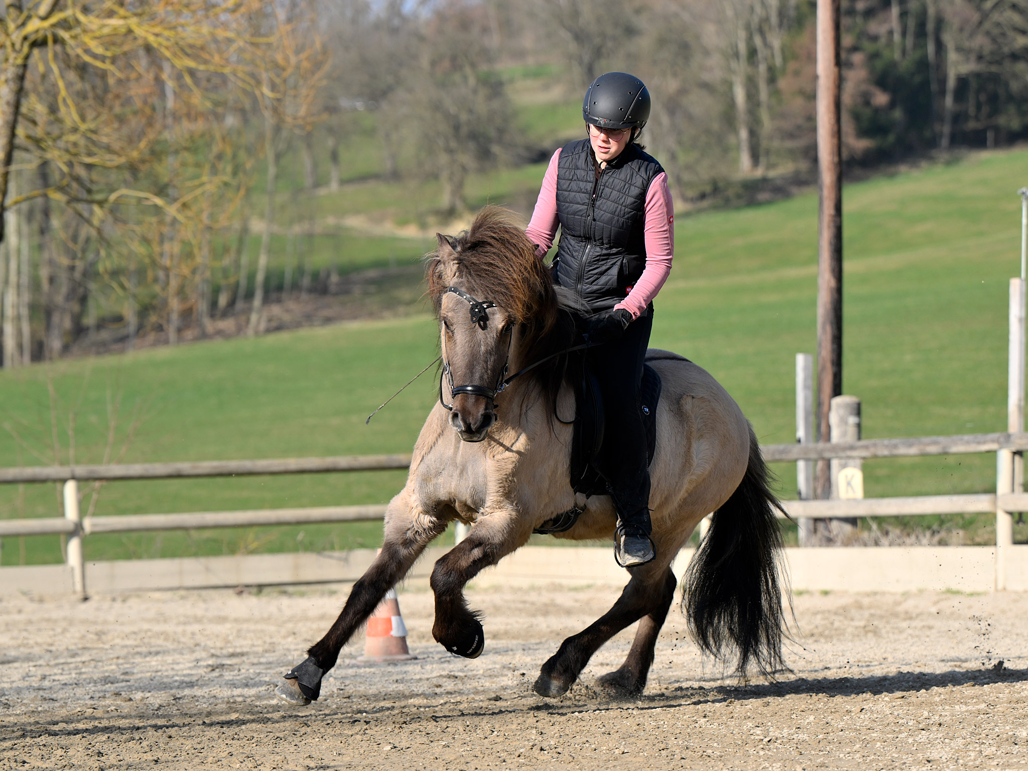 Azione a cavallo islandese