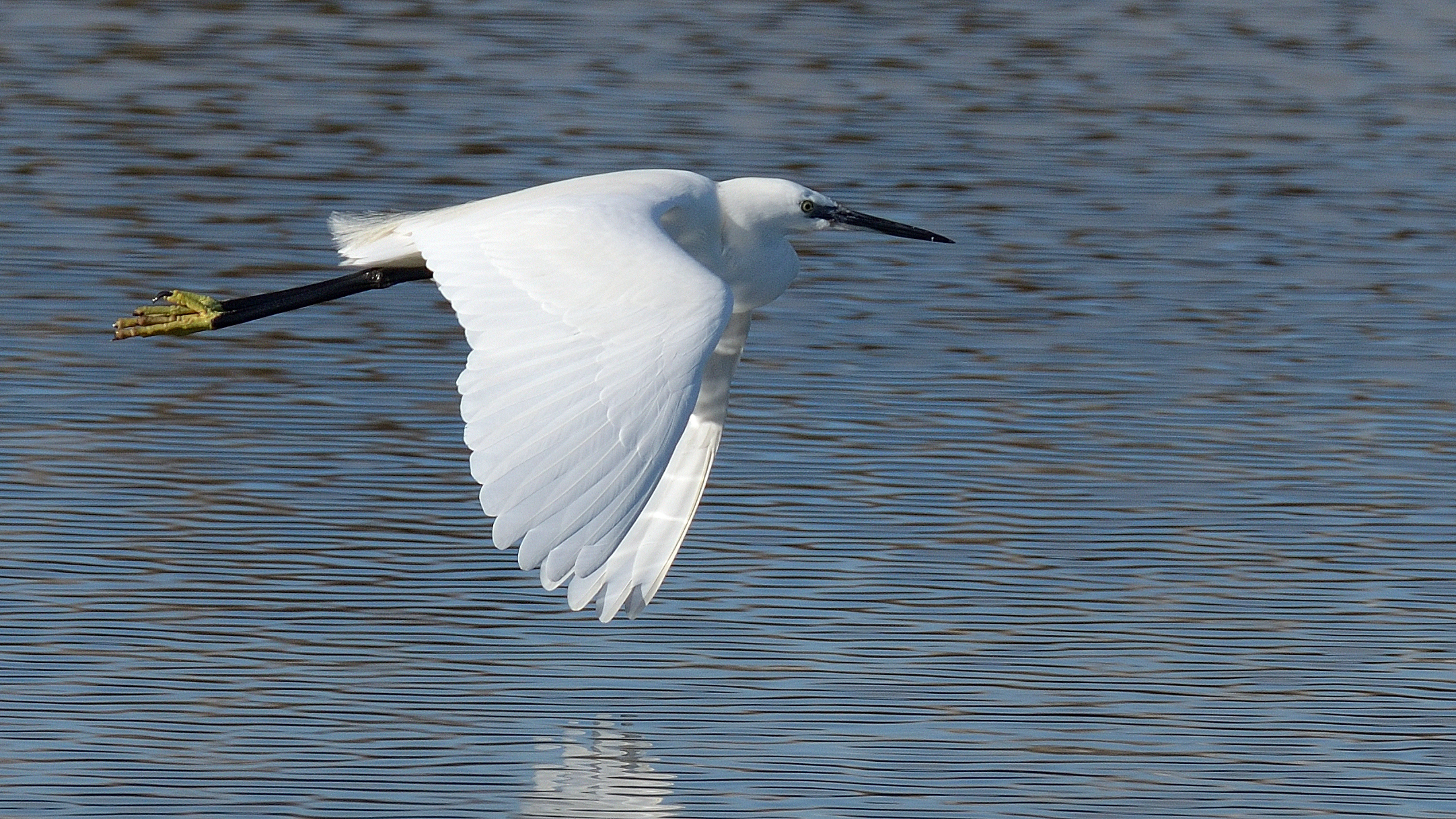 In volo