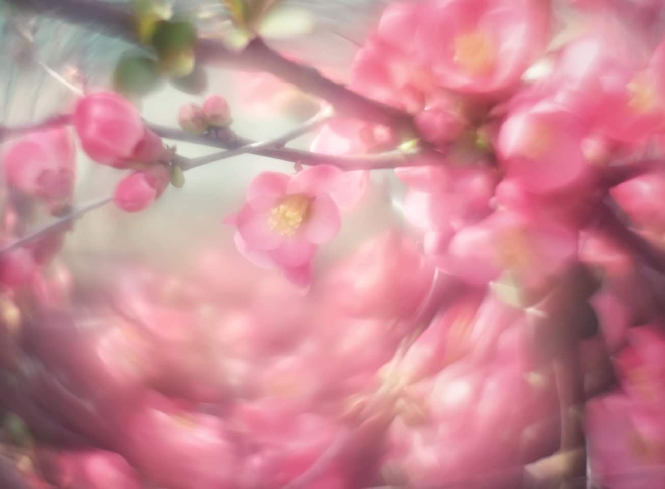 Bentornata primavera