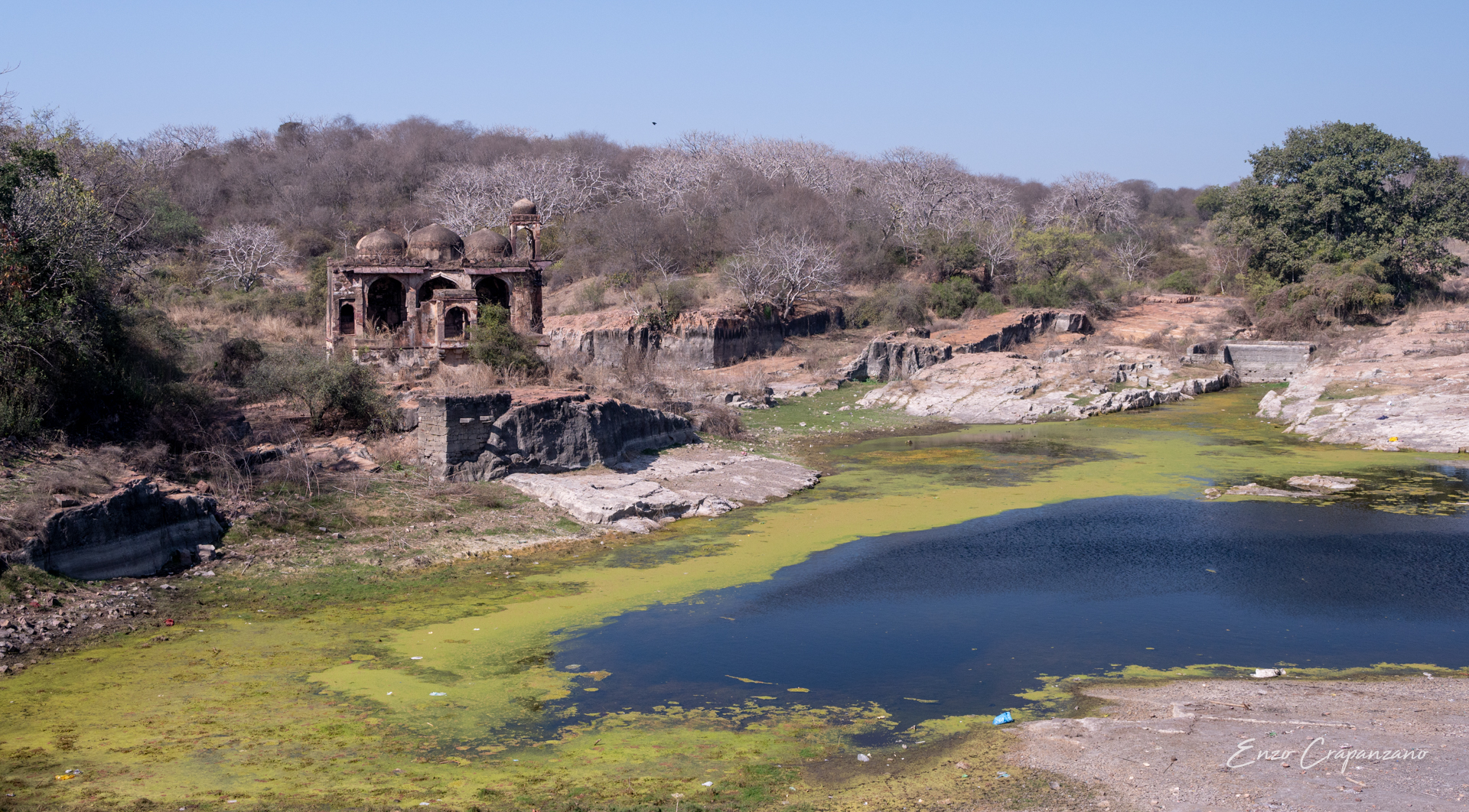 Ranthambhore, landscape n.2