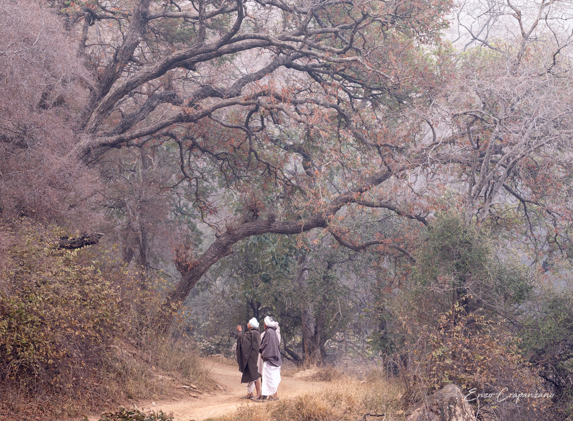 Untitled Photo