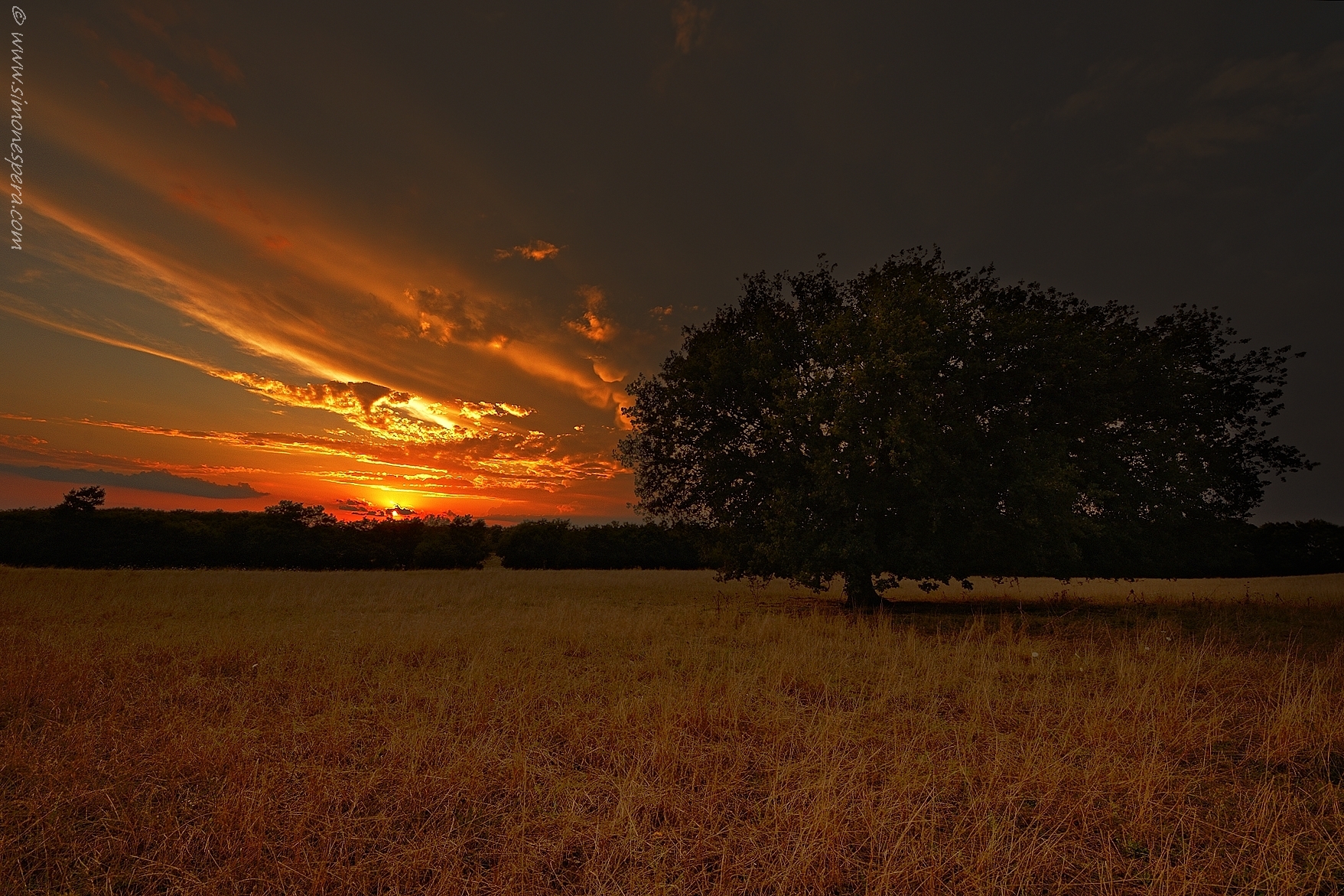 Suggestions dusk ....