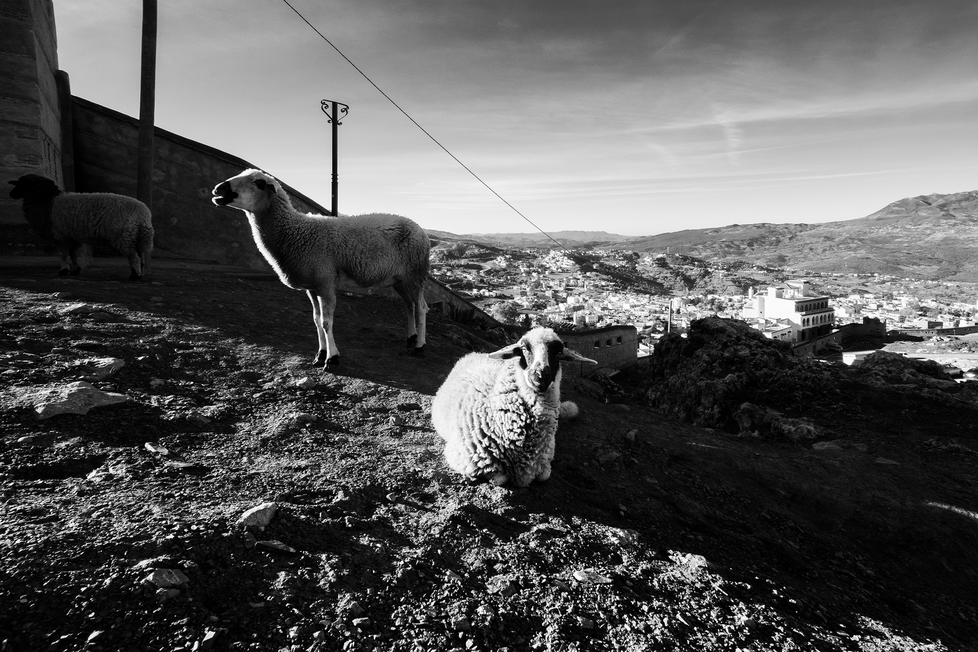 Morocco BW