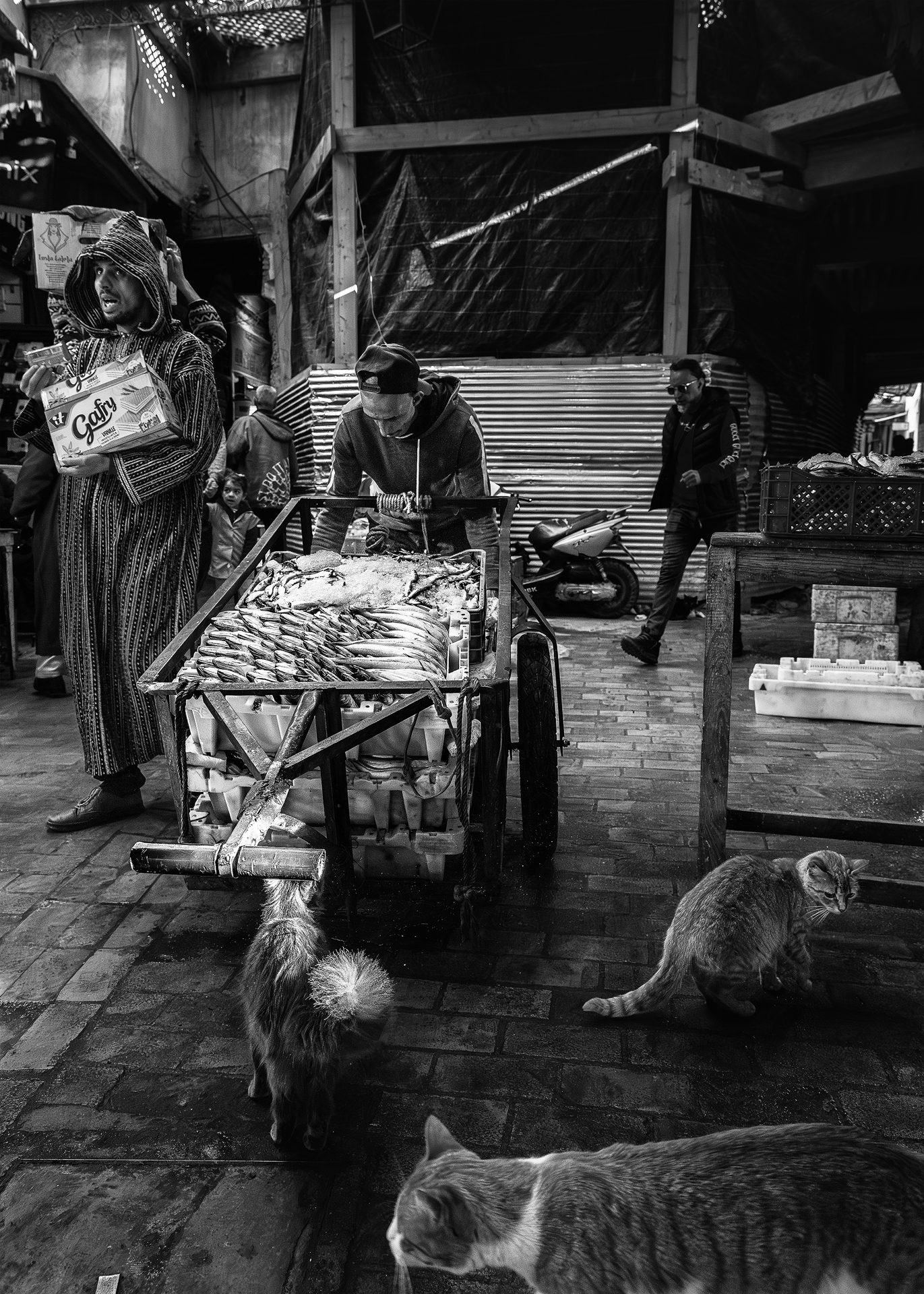 Morocco BW