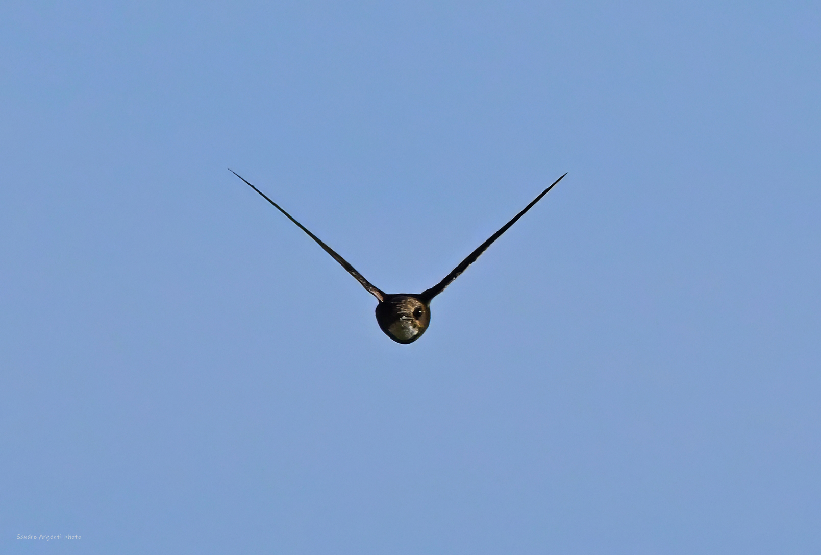 Ufo in avvicinamento ad ore dodici…