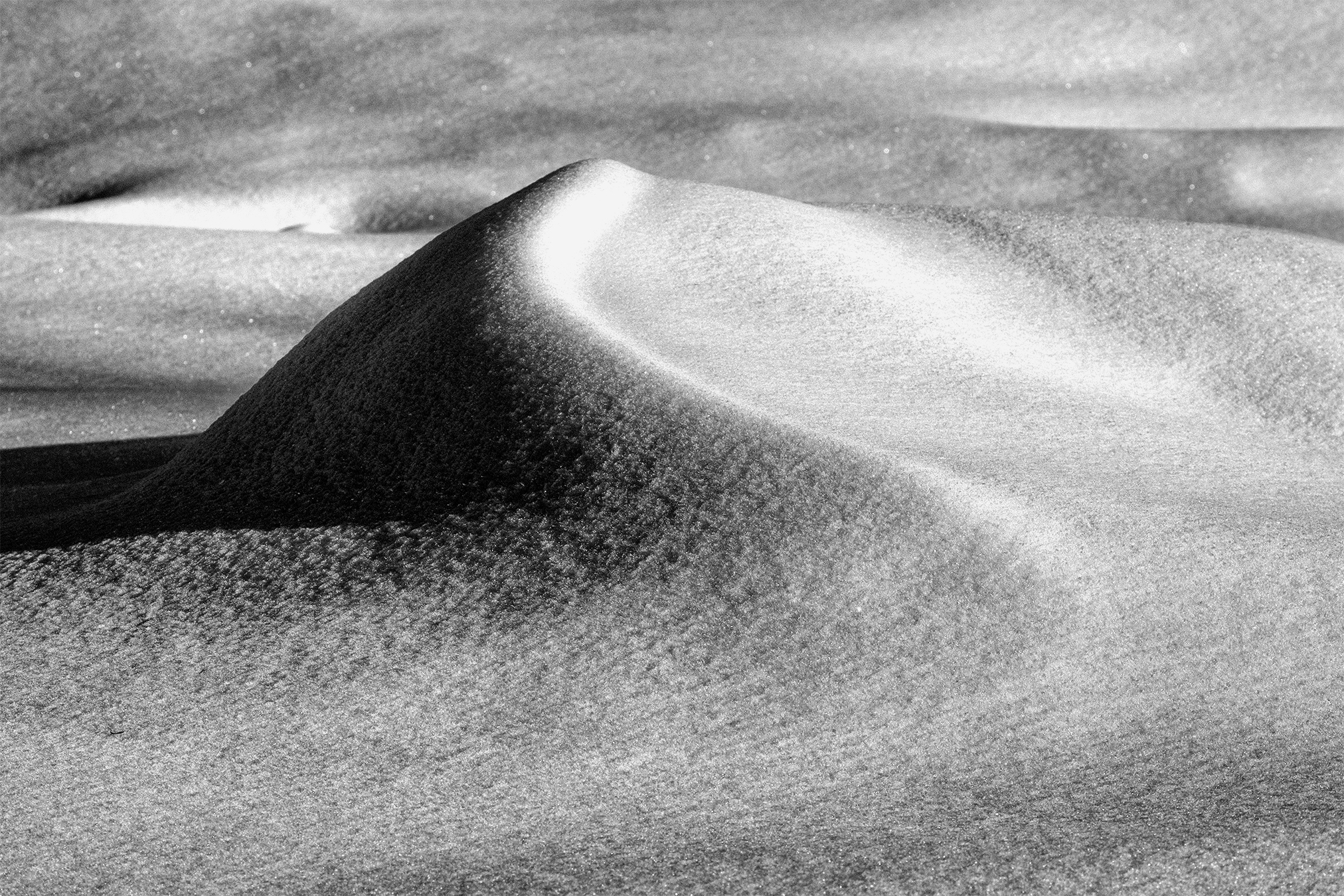 Assaggio di Neve annata 2024