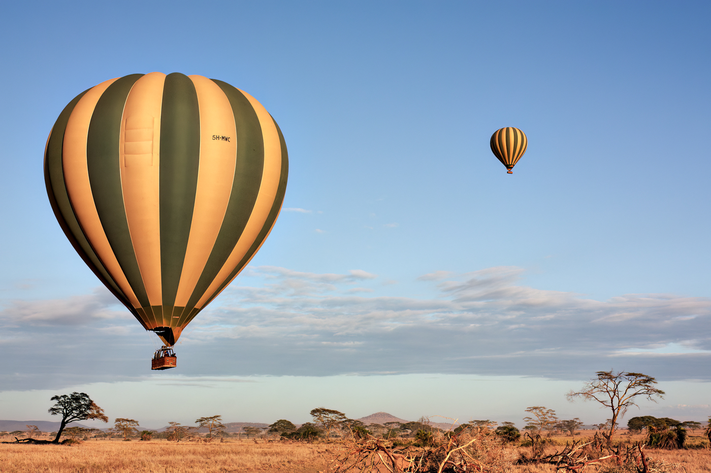 Flying on the Savannah