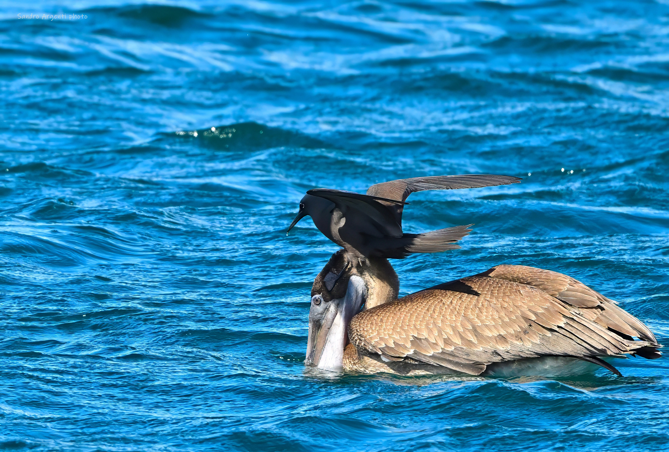 Oggi non ho voglia di bagnarmi i piedi…