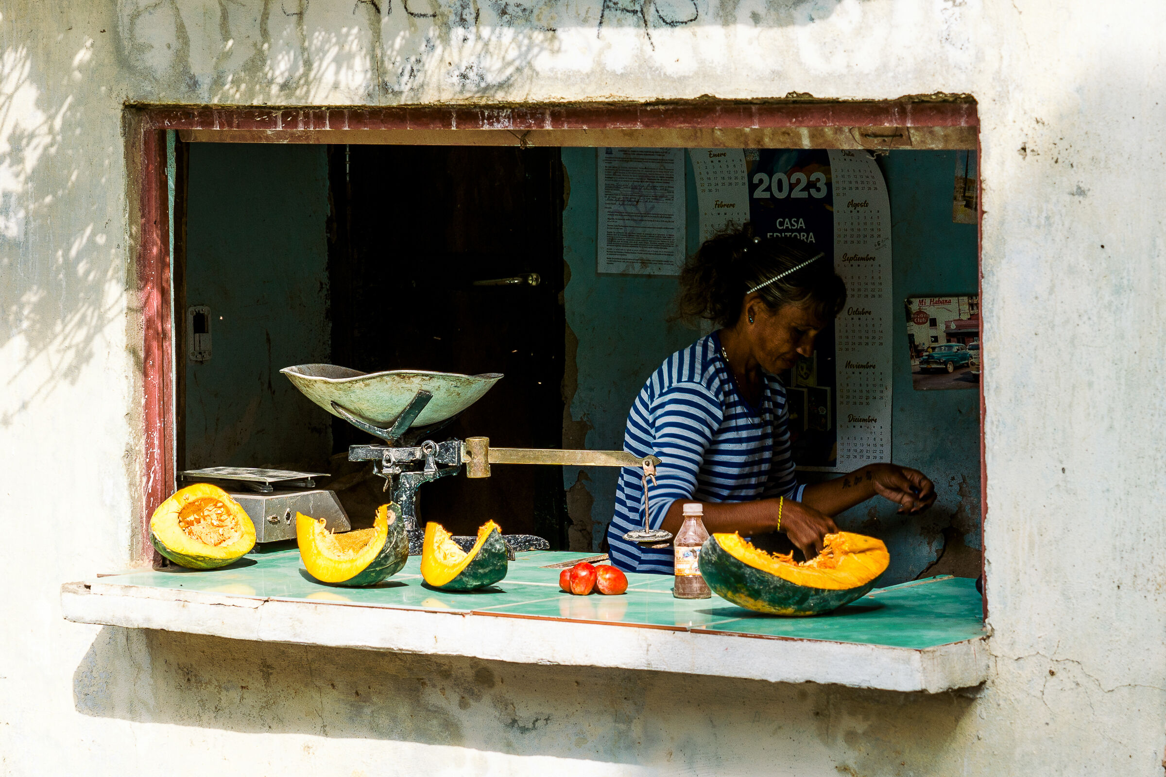 La bottega della zucca